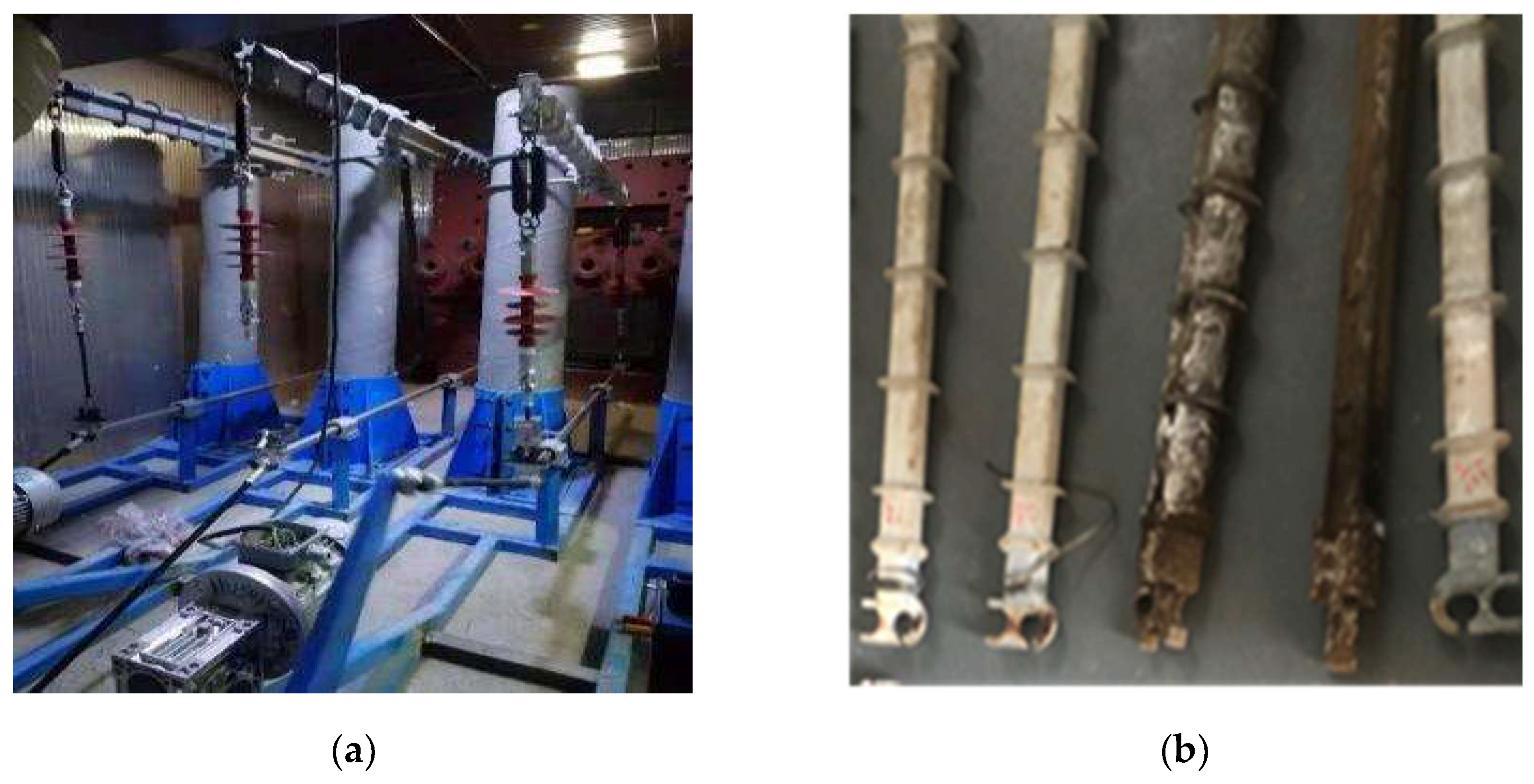 Polymers 15 03576 g002