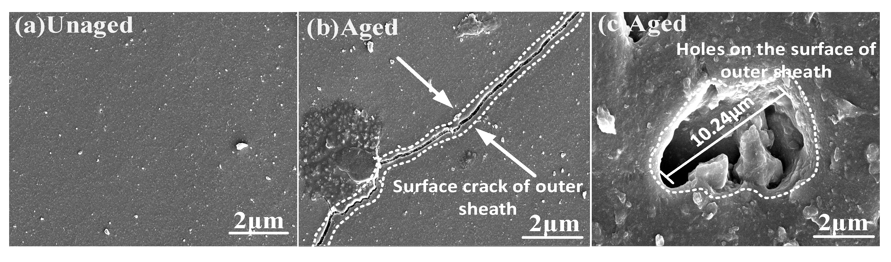 Polymers 15 03576 g007