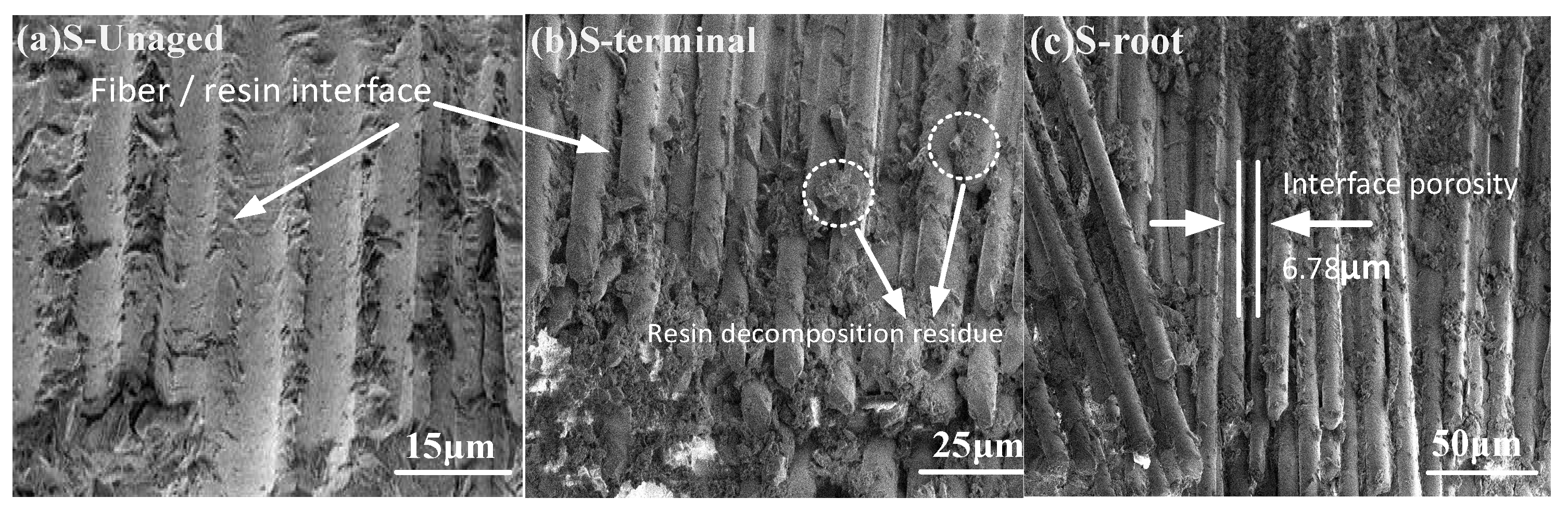Polymers 15 03576 g012
