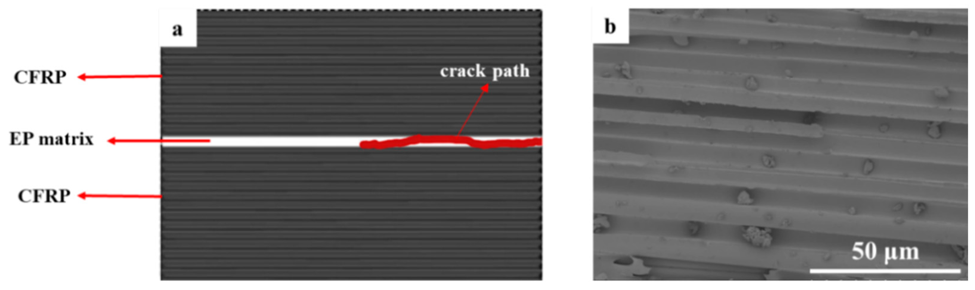 Polymers 15 03579 g003