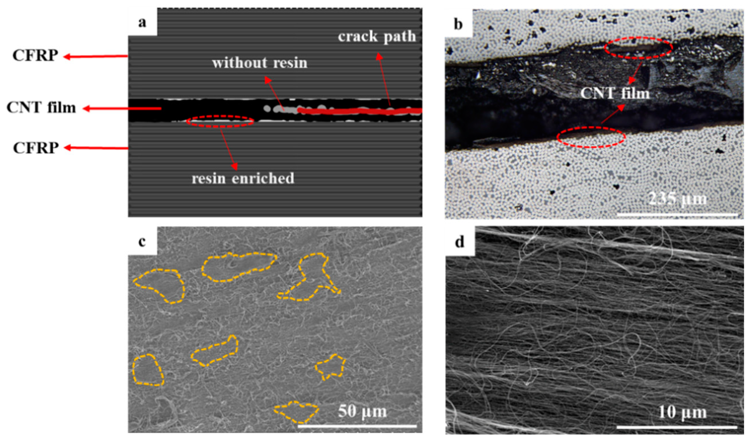 Polymers 15 03579 g004