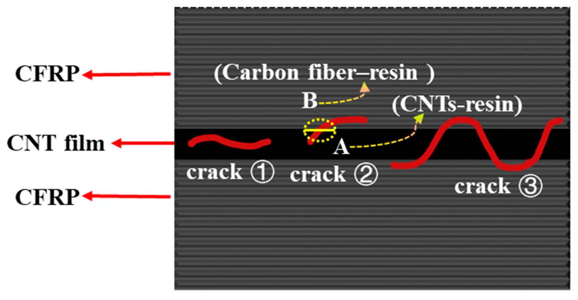 Polymers 15 03579 g005