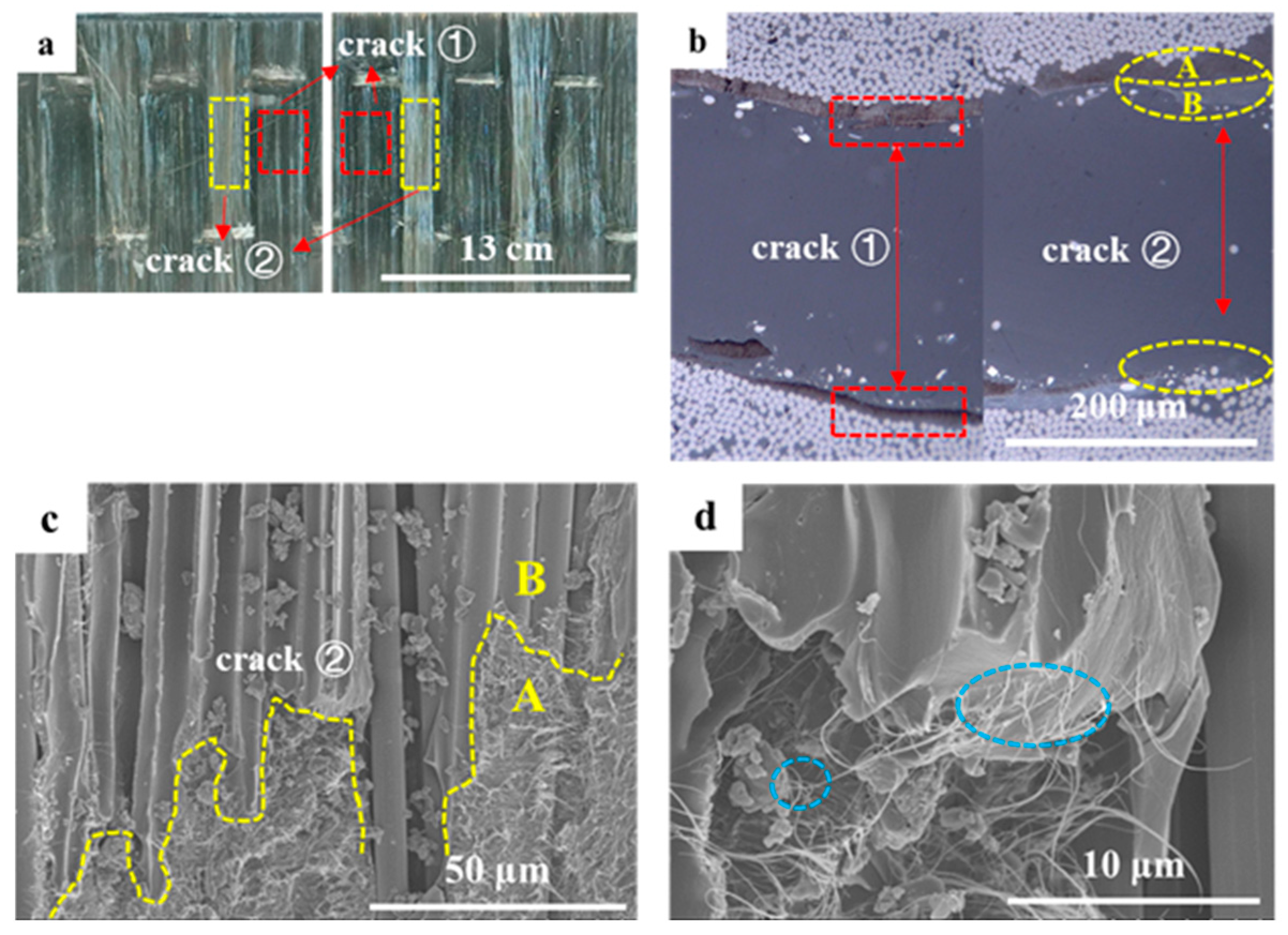 Polymers 15 03579 g006
