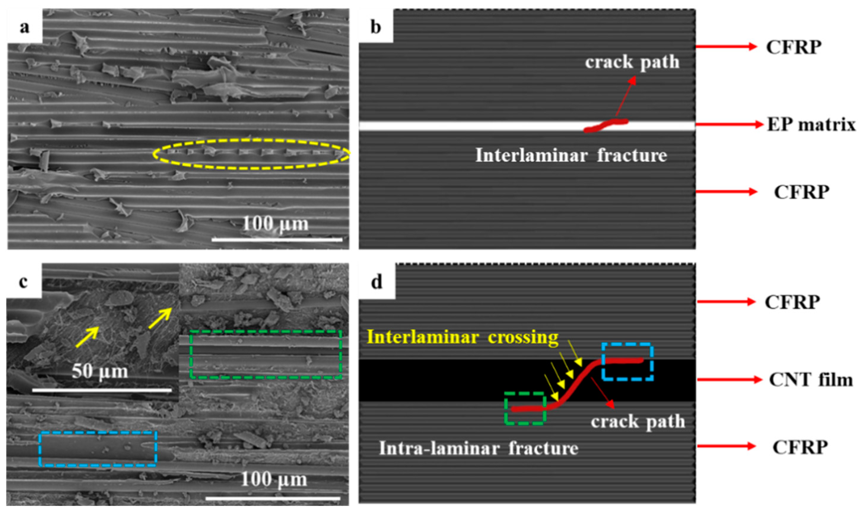 Polymers 15 03579 g009