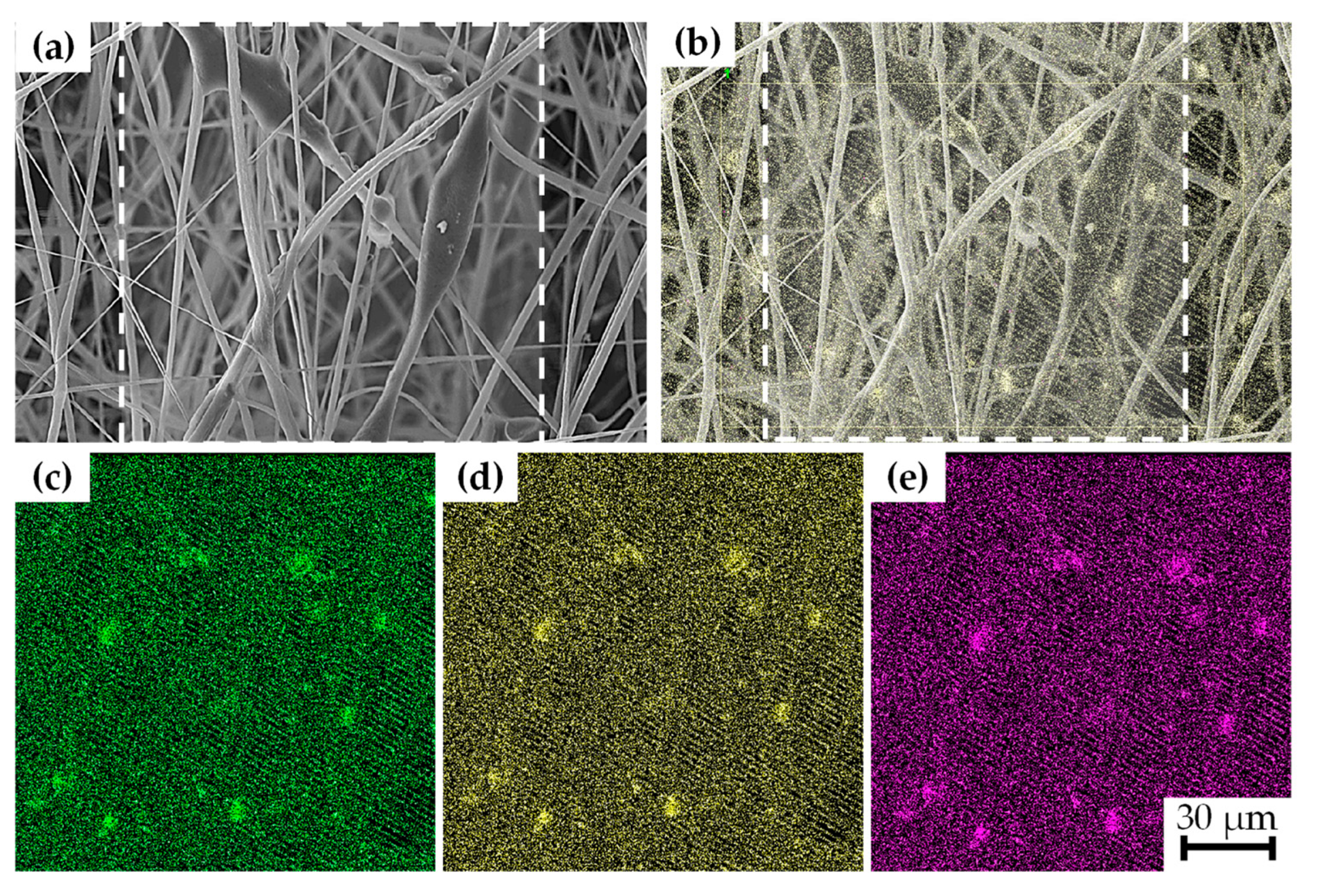 Polymers 15 03580 g005