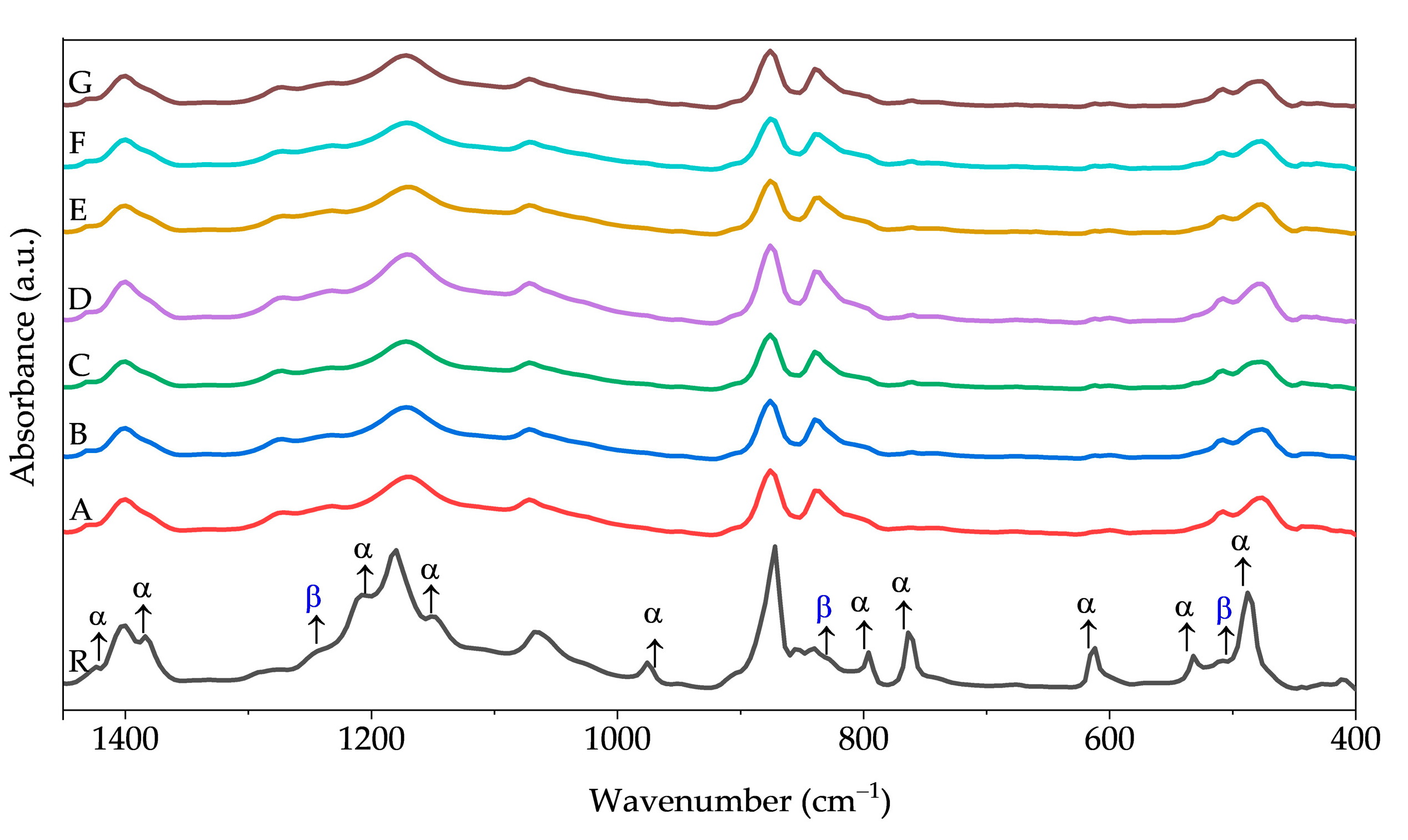 Polymers 15 03580 g007