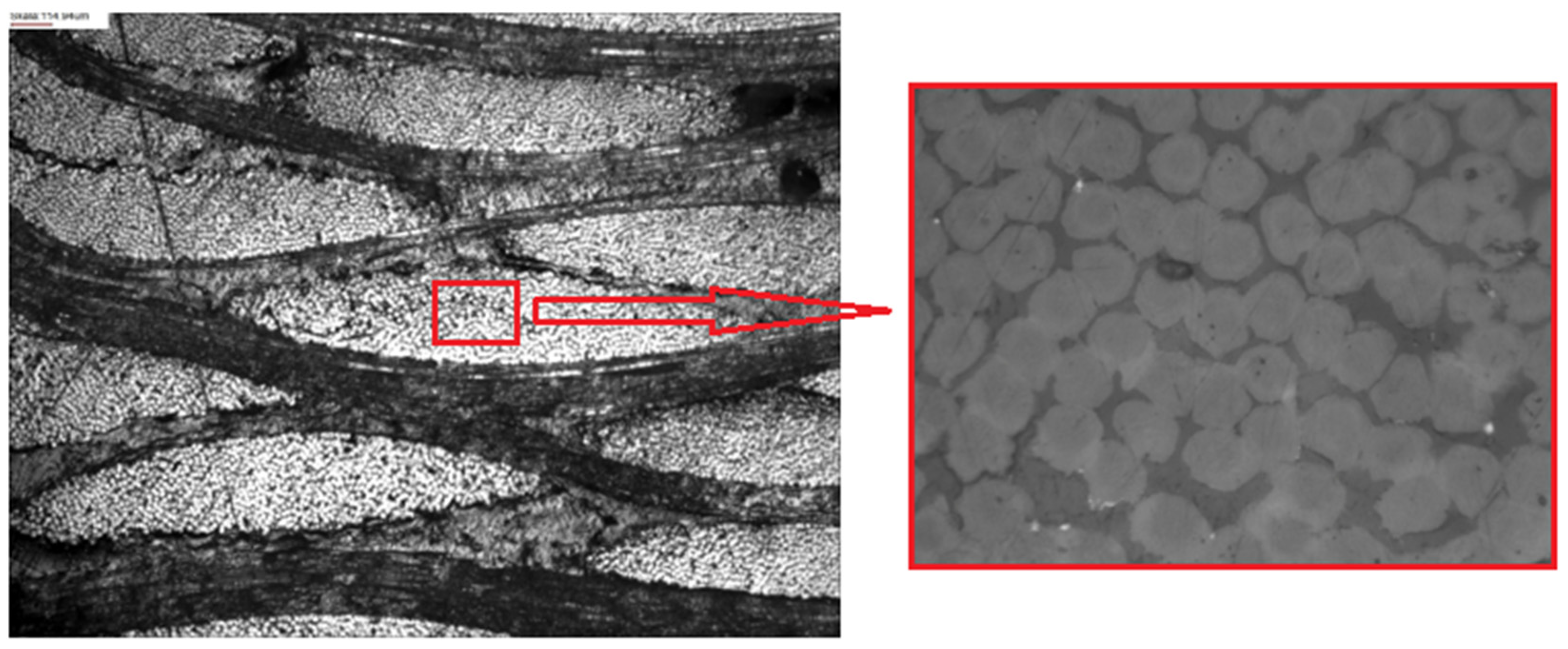 Polymers 15 03584 g002 Polymers 15 03584 g002