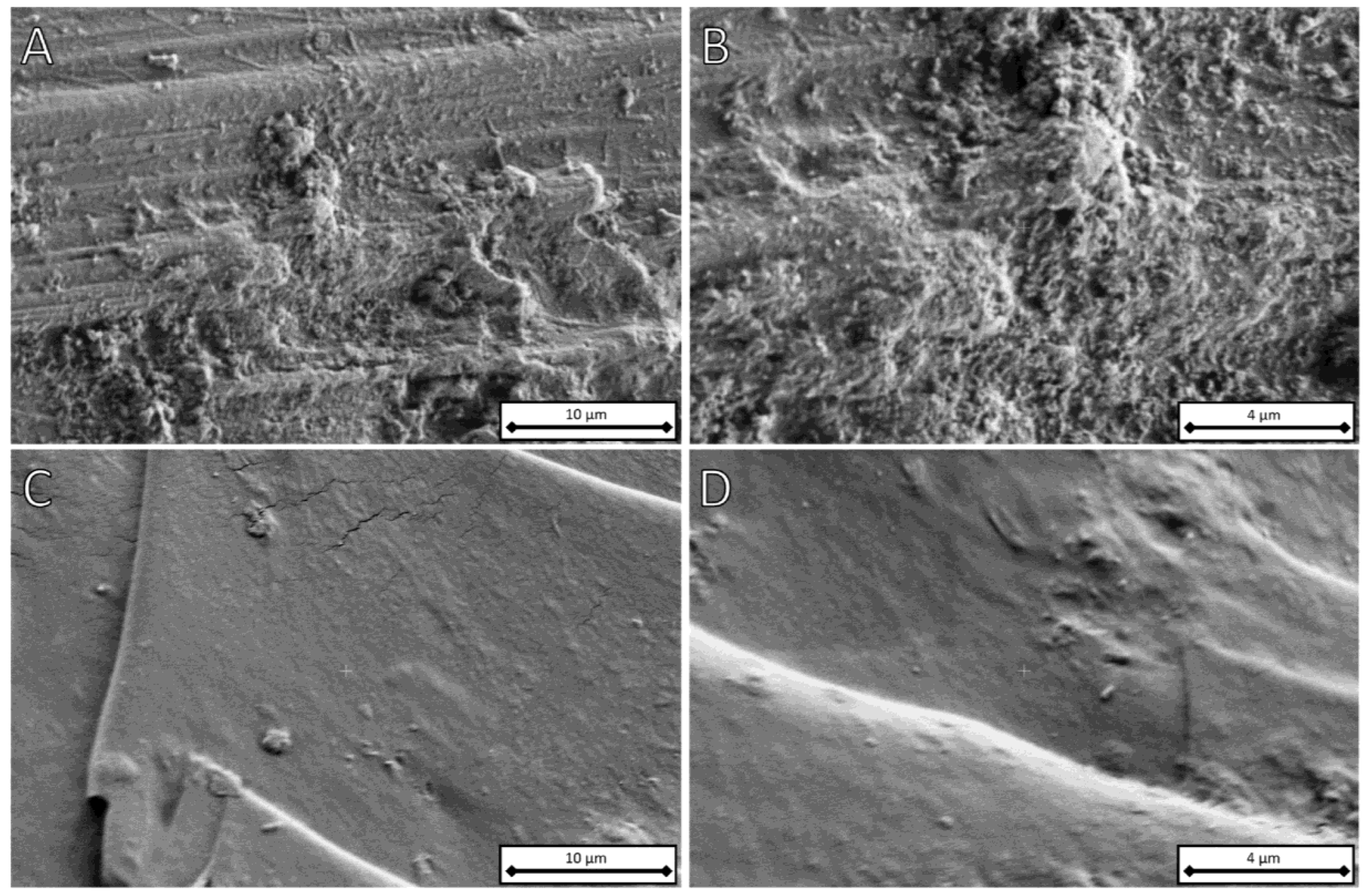 Polymers 15 03586 g001