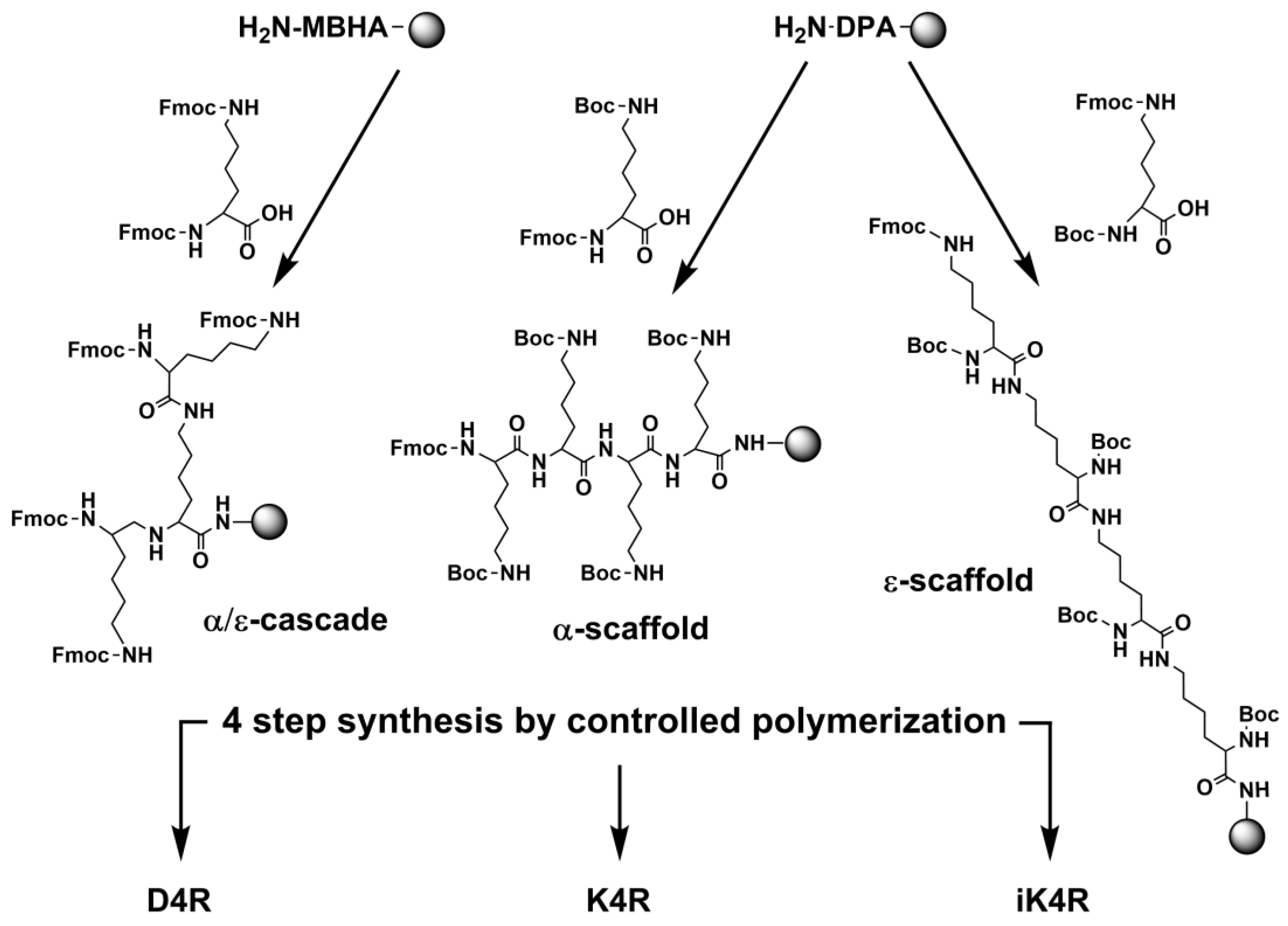Polymers 15 03594 g003