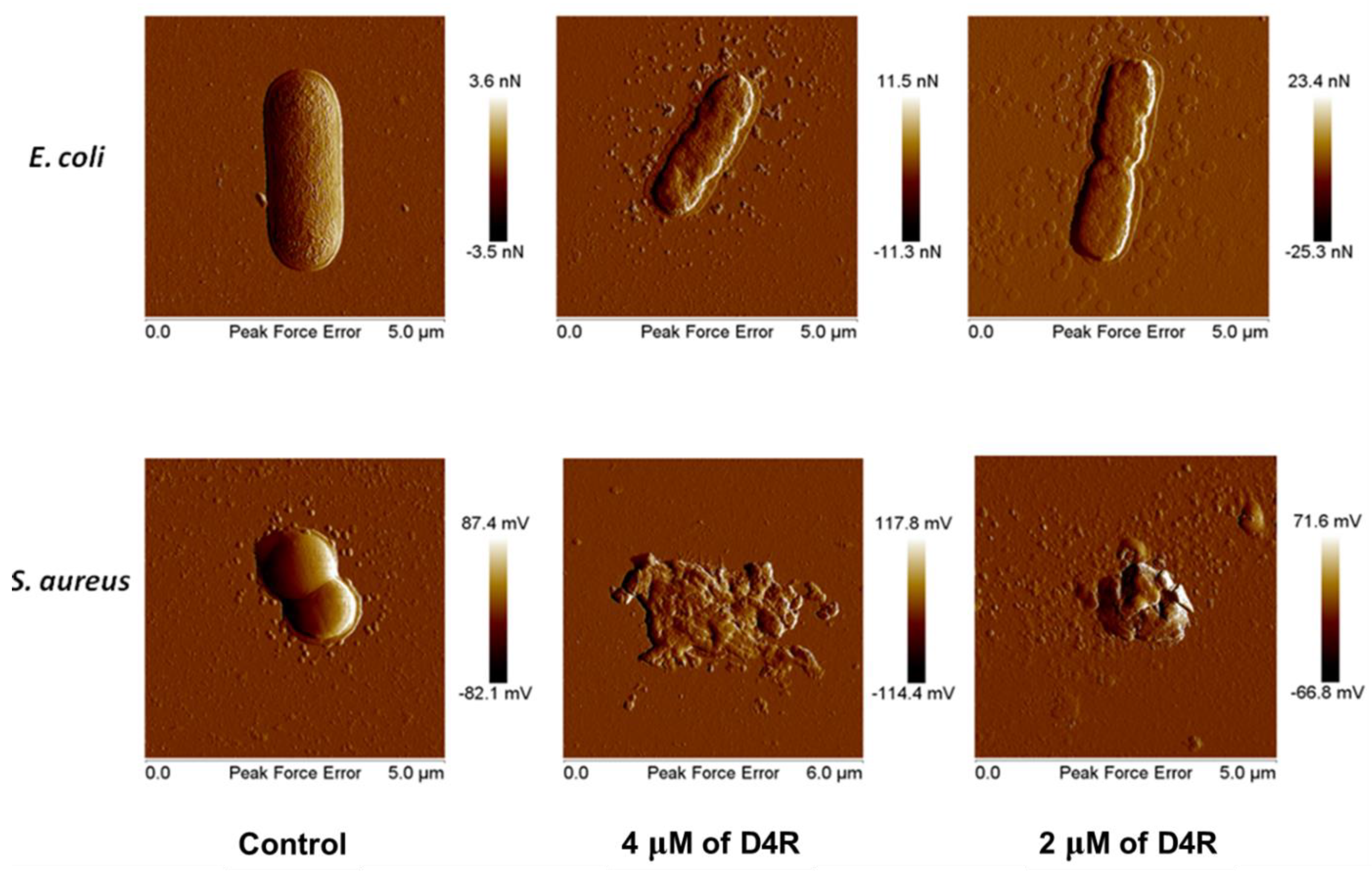 Polymers 15 03594 g007