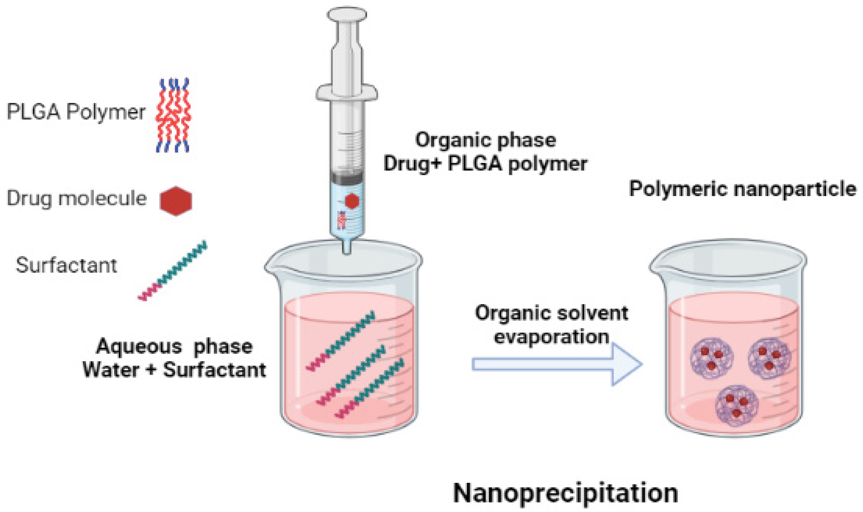 Polymers 15 03597 g003 Polymers 15 03597 g003