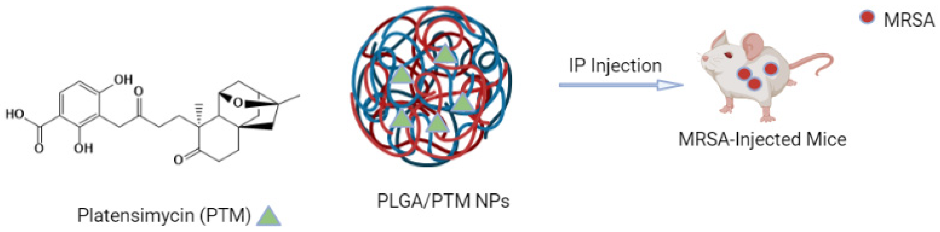 Polymers 15 03597 g004 Polymers 15 03597 g004