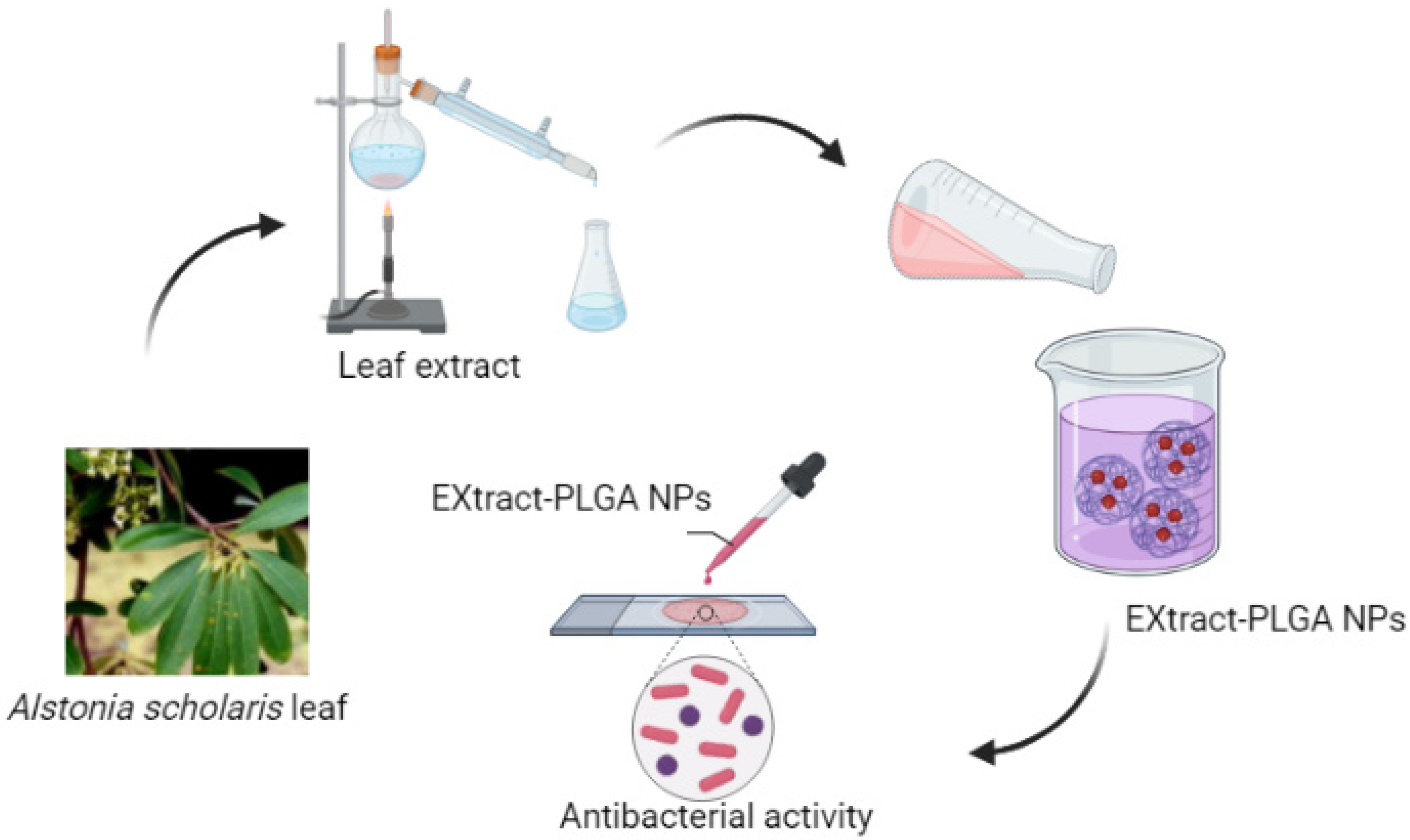 Polymers 15 03597 g005 Polymers 15 03597 g005