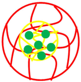 Polymers 15 03600 i005