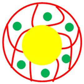 Polymers 15 03600 i007