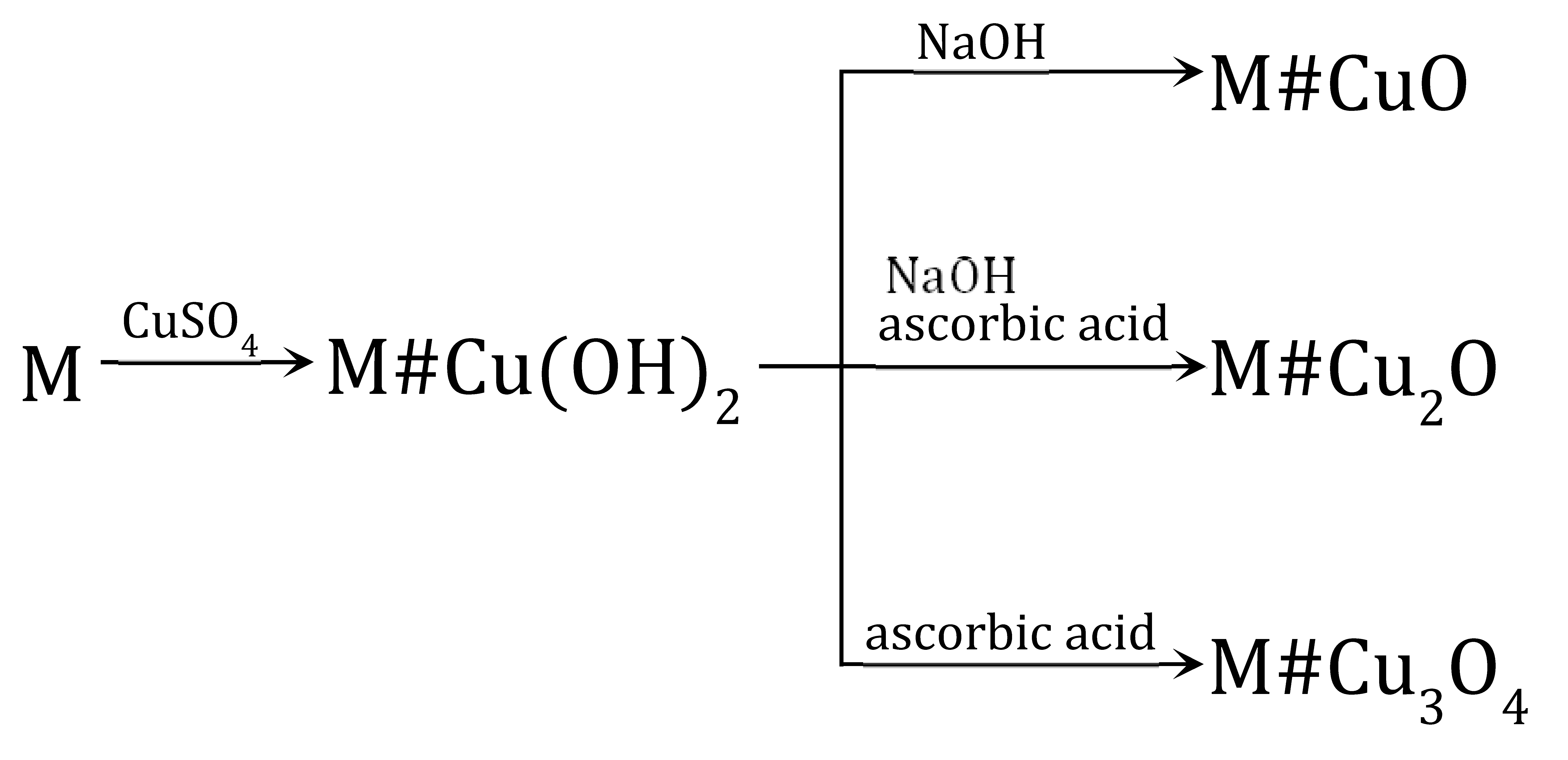 Polymers 15 03606 i001