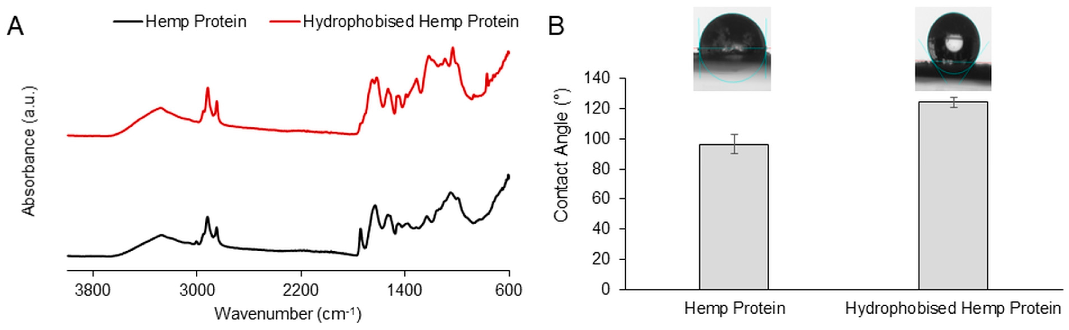 Polymers 15 03608 g001