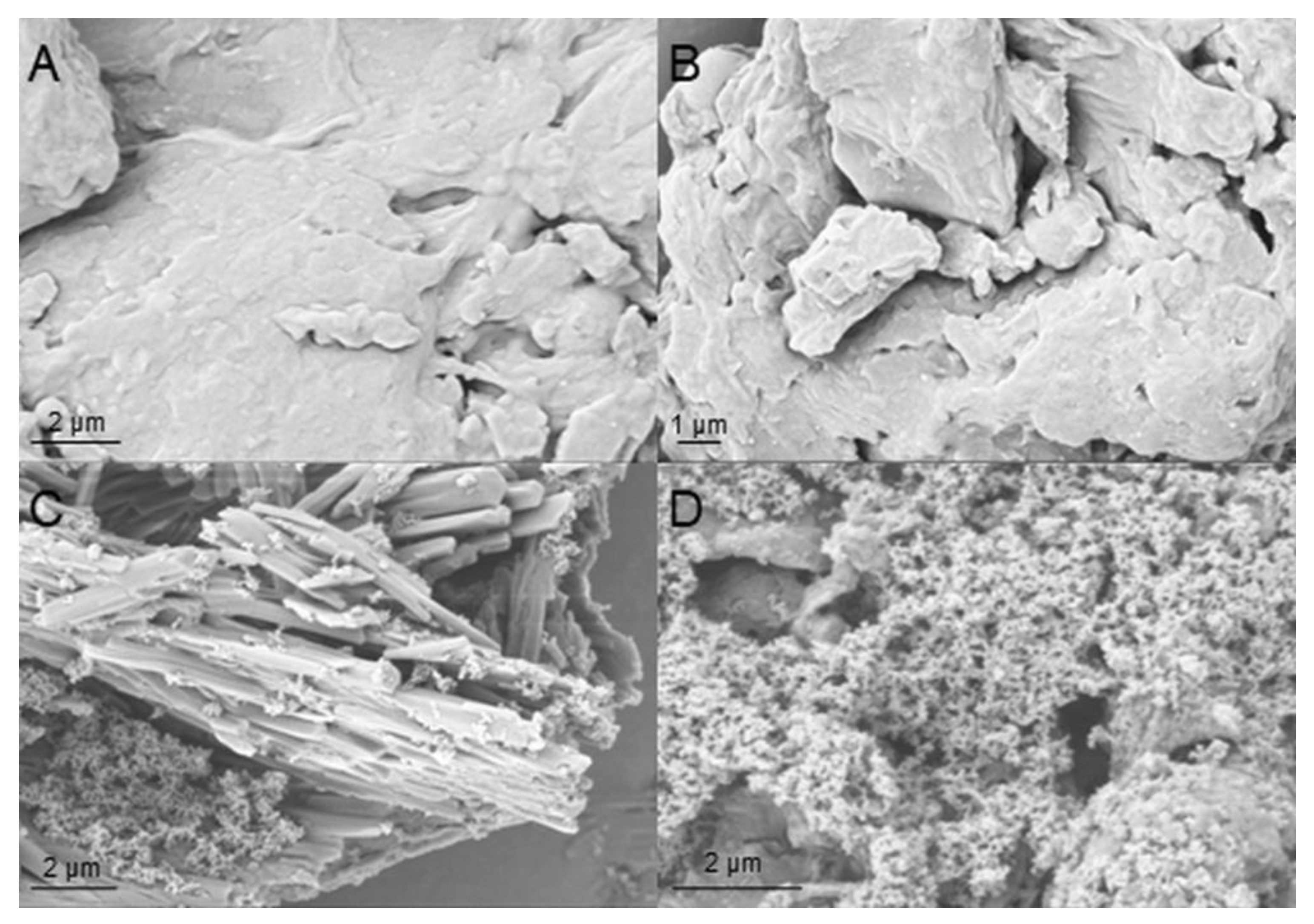 Polymers 15 03608 g002