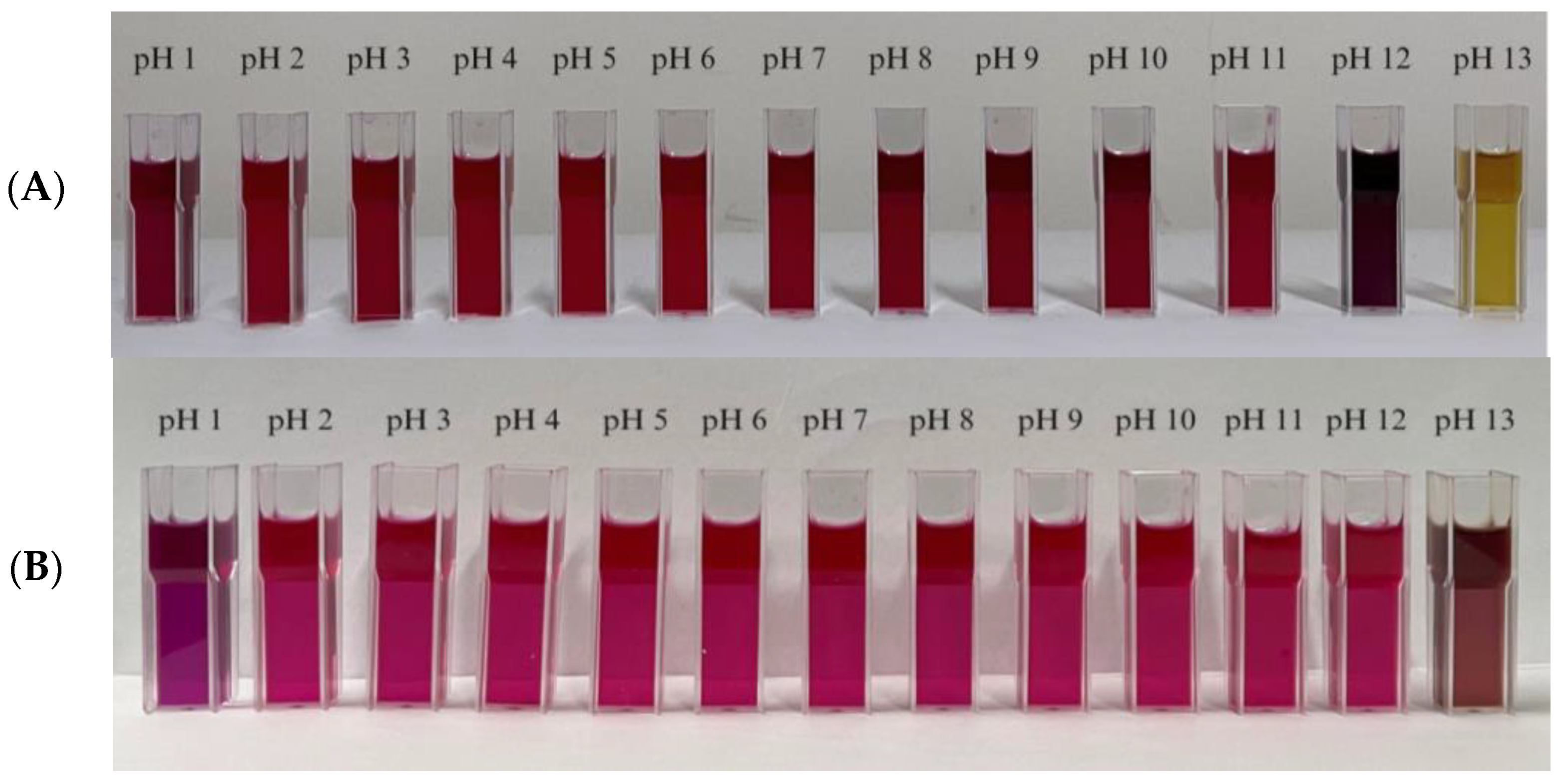 Polymers 15 03609 g002 Polymers 15 03609 g002