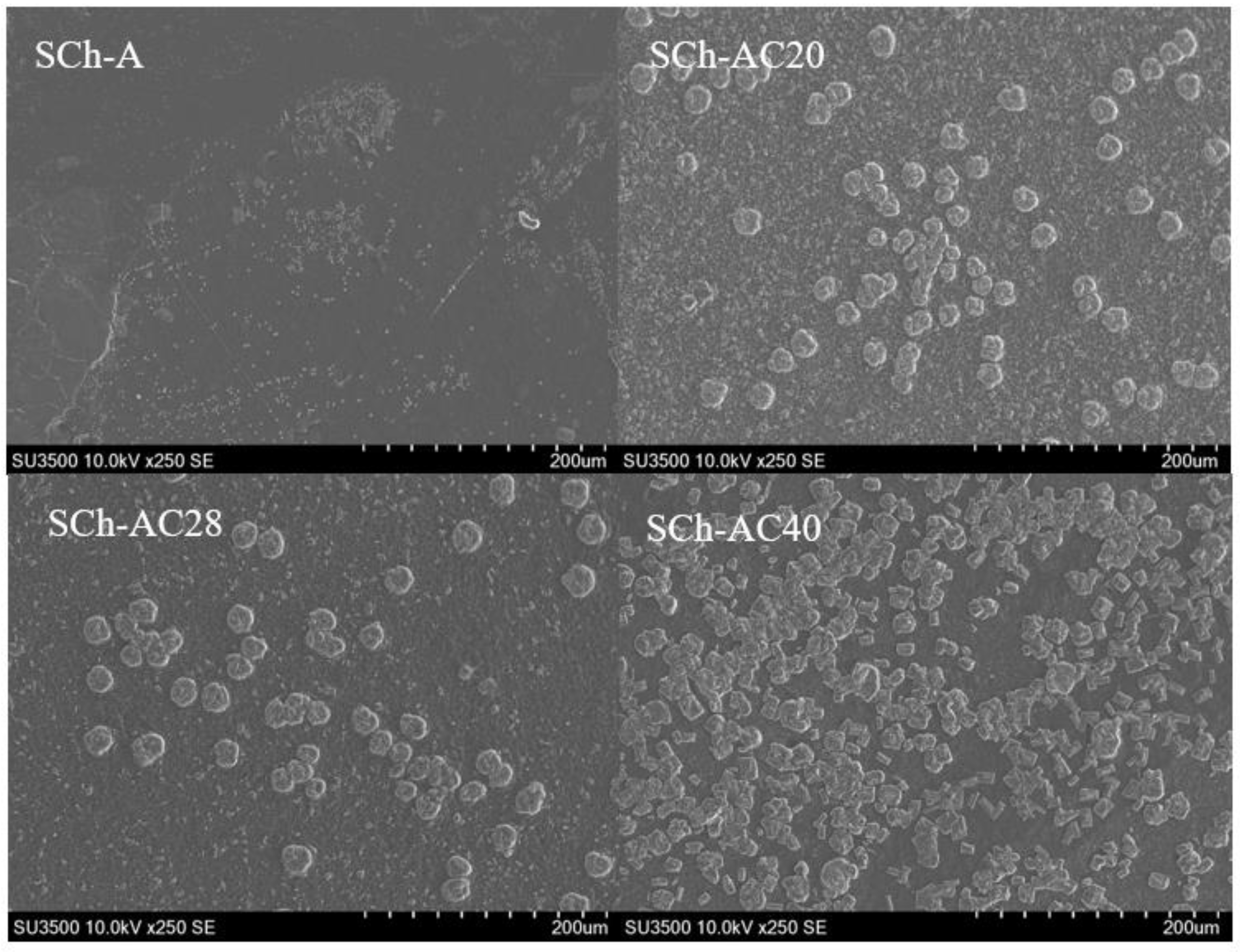 Polymers 15 03609 g005 Polymers 15 03609 g005