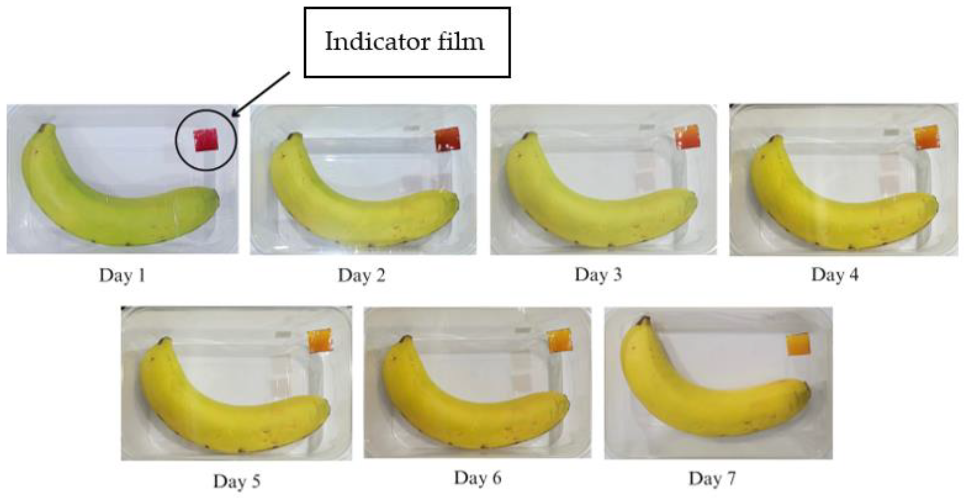 Polymers 15 03609 g008 Polymers 15 03609 g008