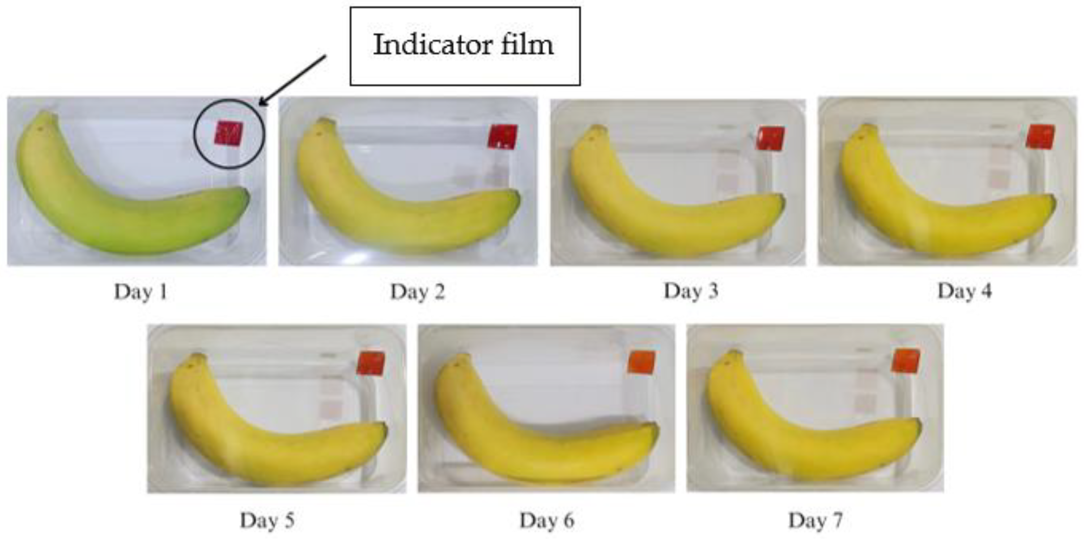 Polymers 15 03609 g009 Polymers 15 03609 g009