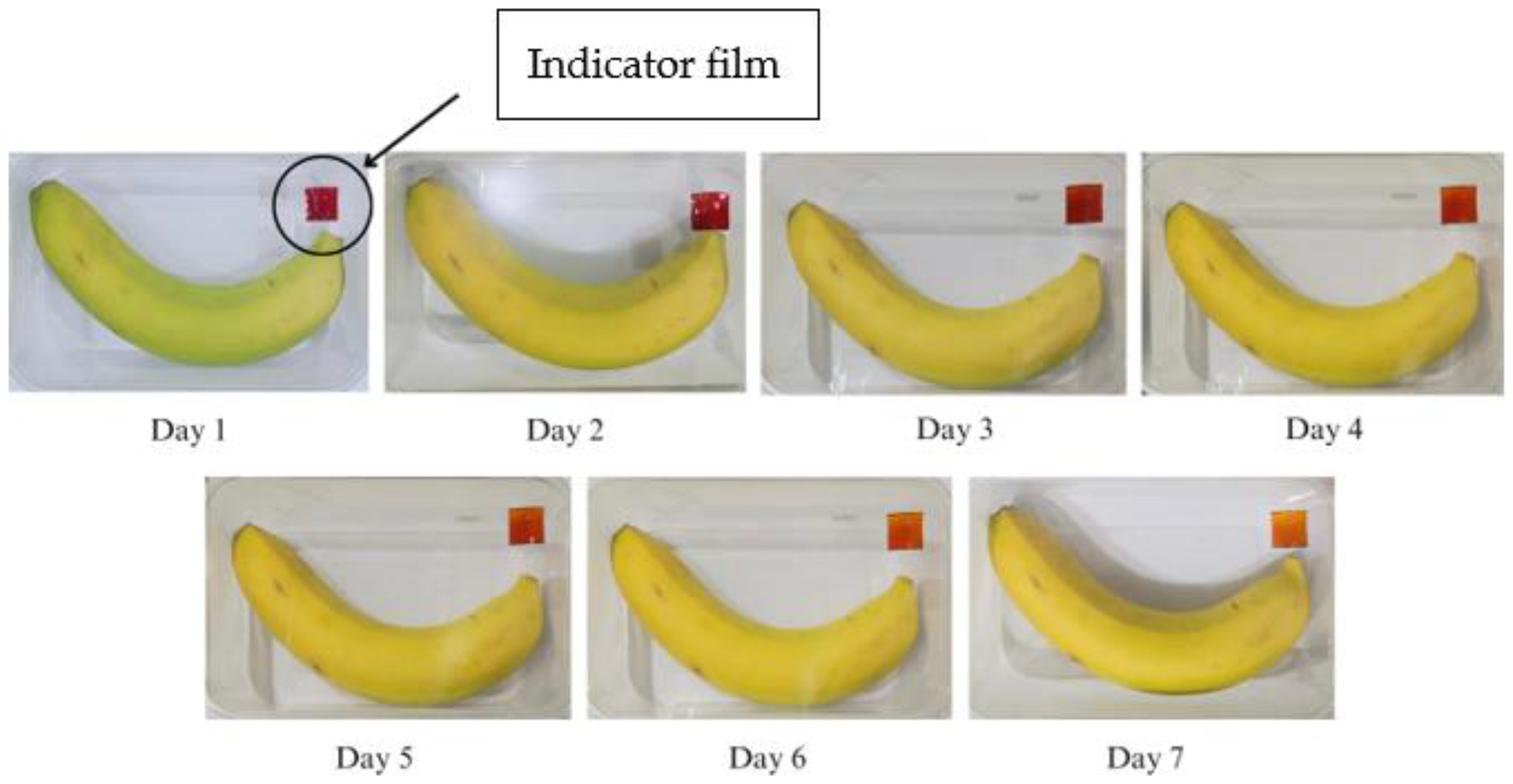 Polymers 15 03609 g010 Polymers 15 03609 g010