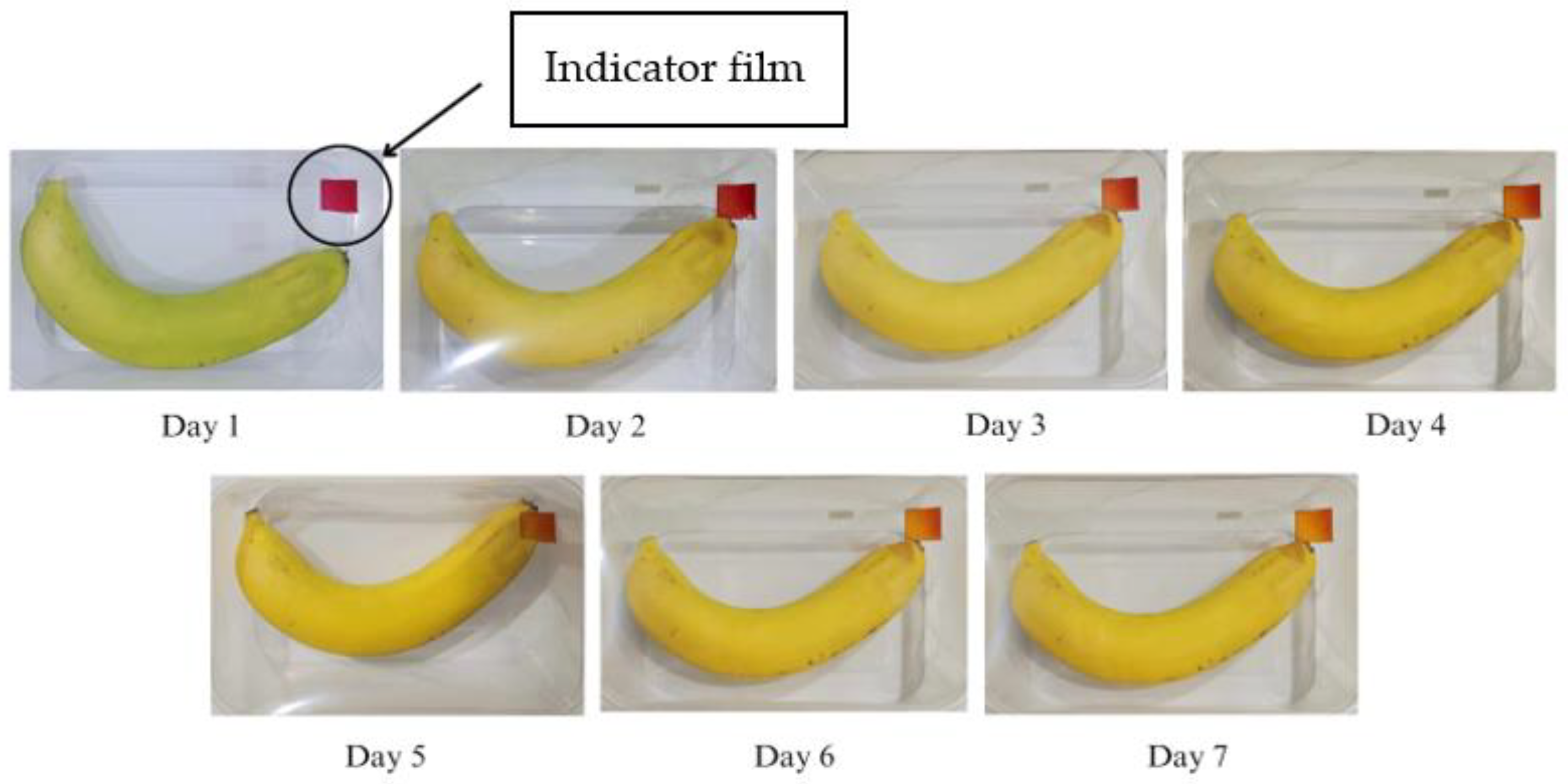 Polymers 15 03609 g011 Polymers 15 03609 g011