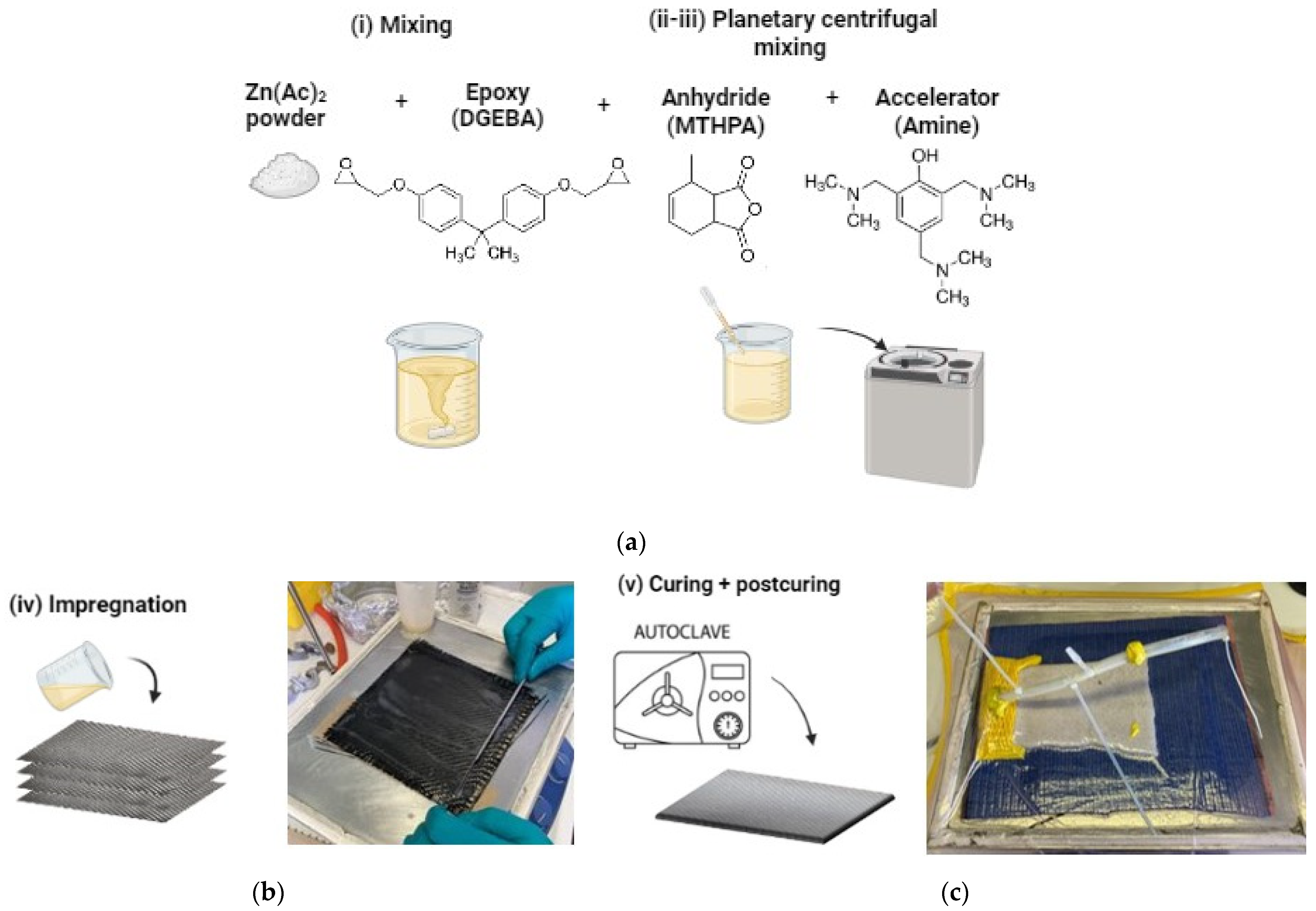 Polymers 15 03611 g001