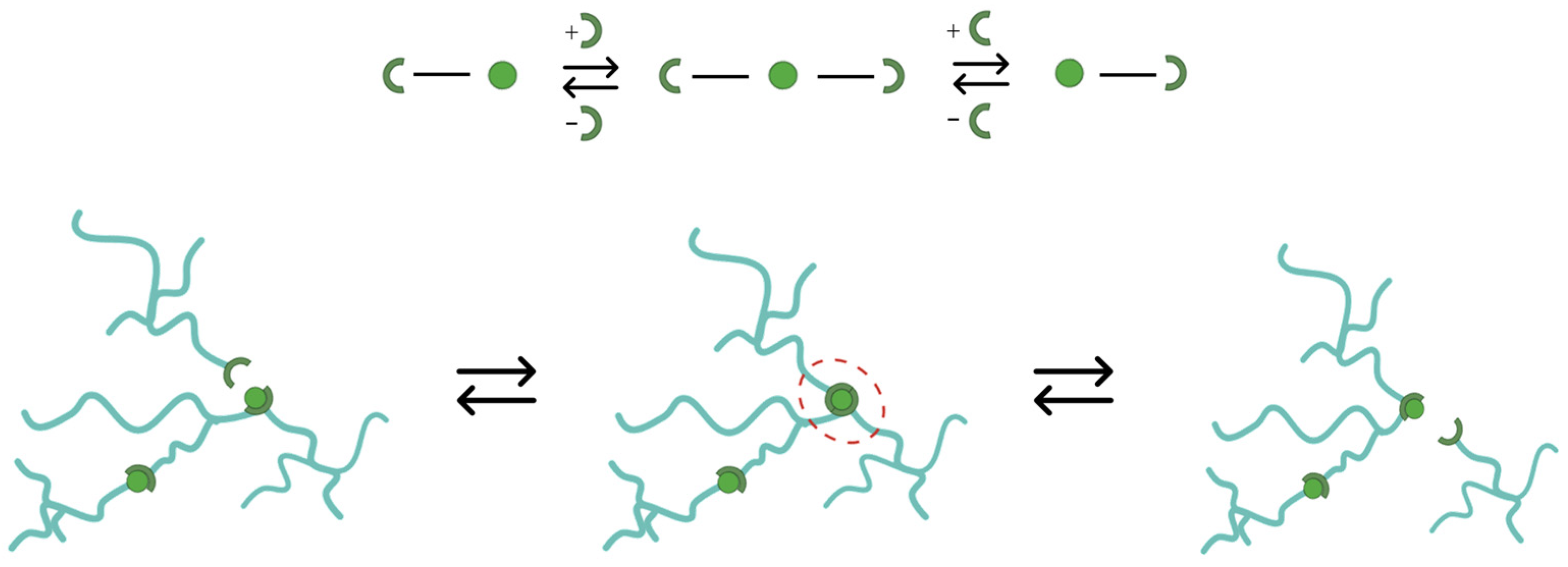 Polymers 15 03611 g012