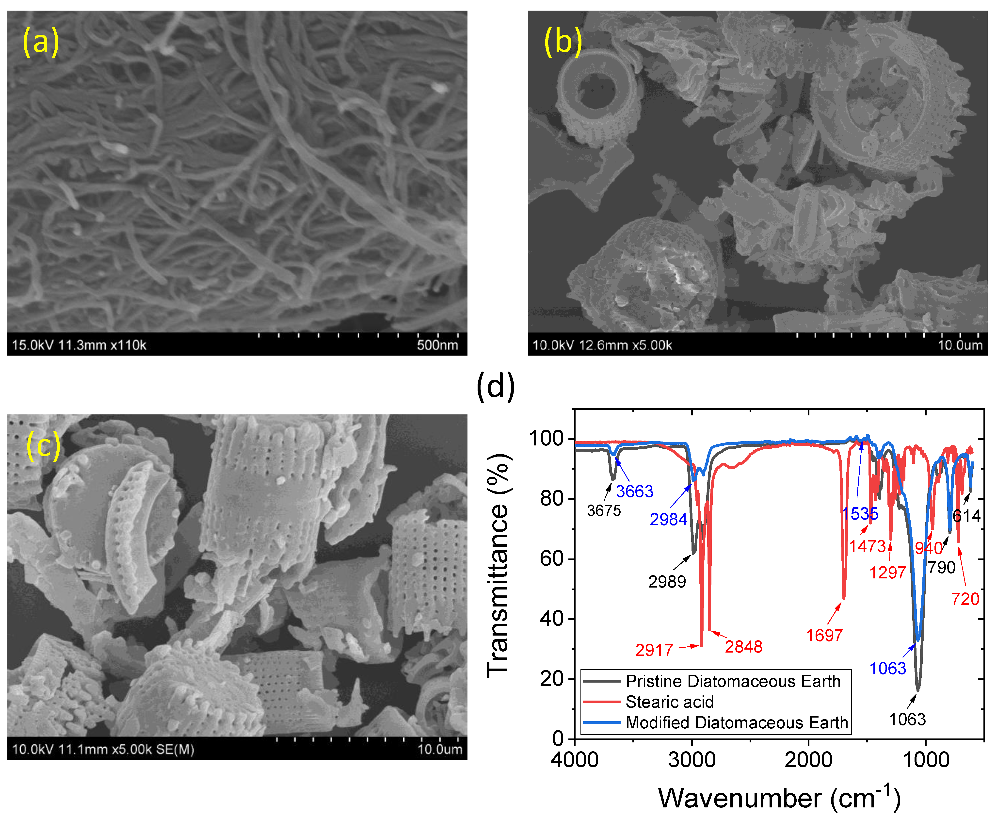 Polymers 15 03612 g001