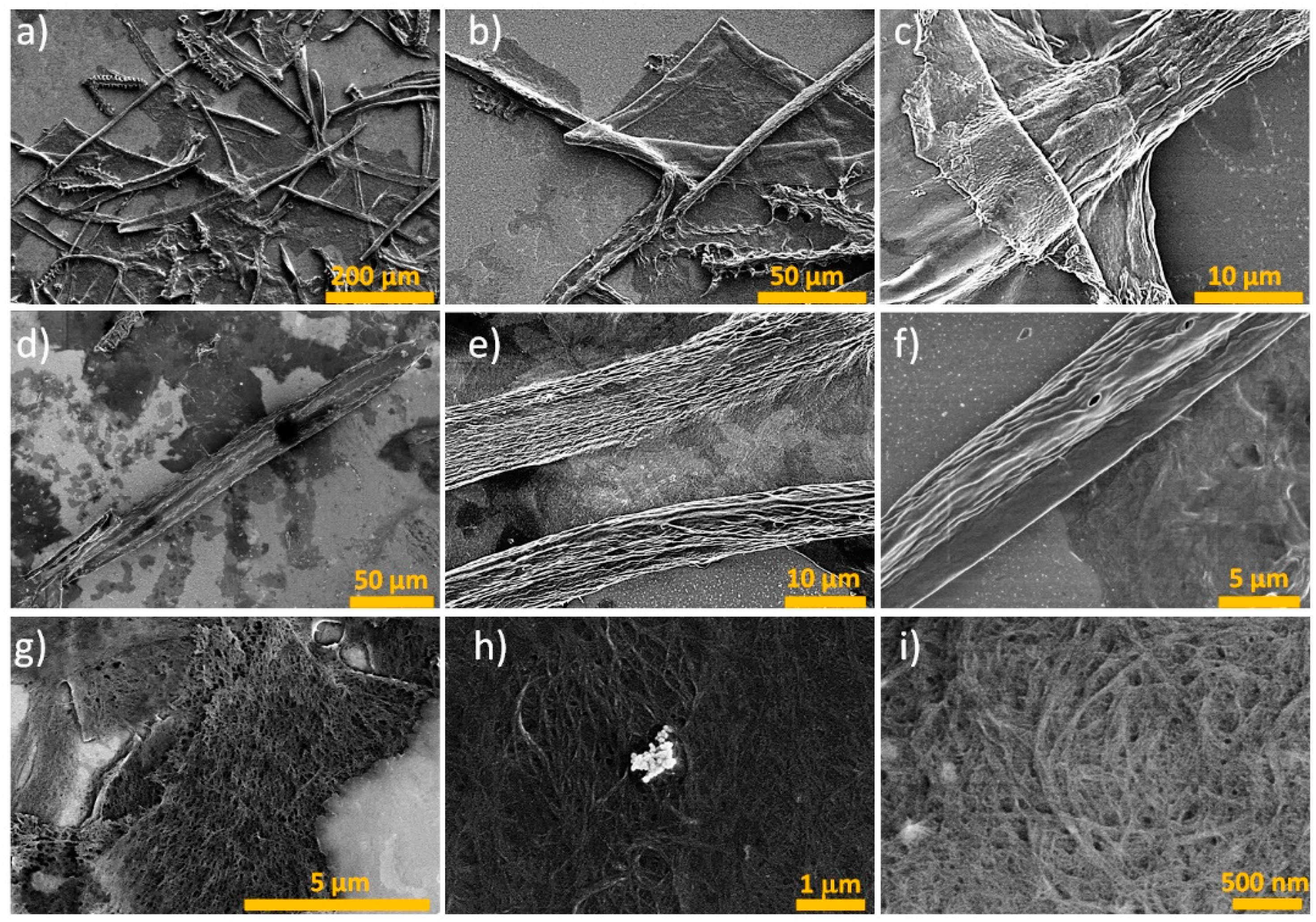 Polymers 15 03613 g005