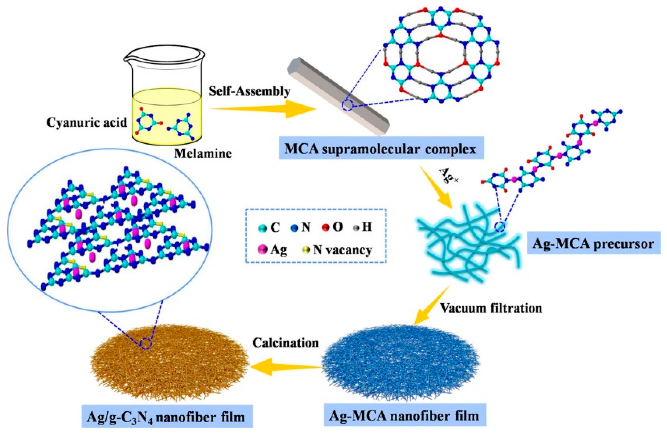 Polymers 15 03616 g005