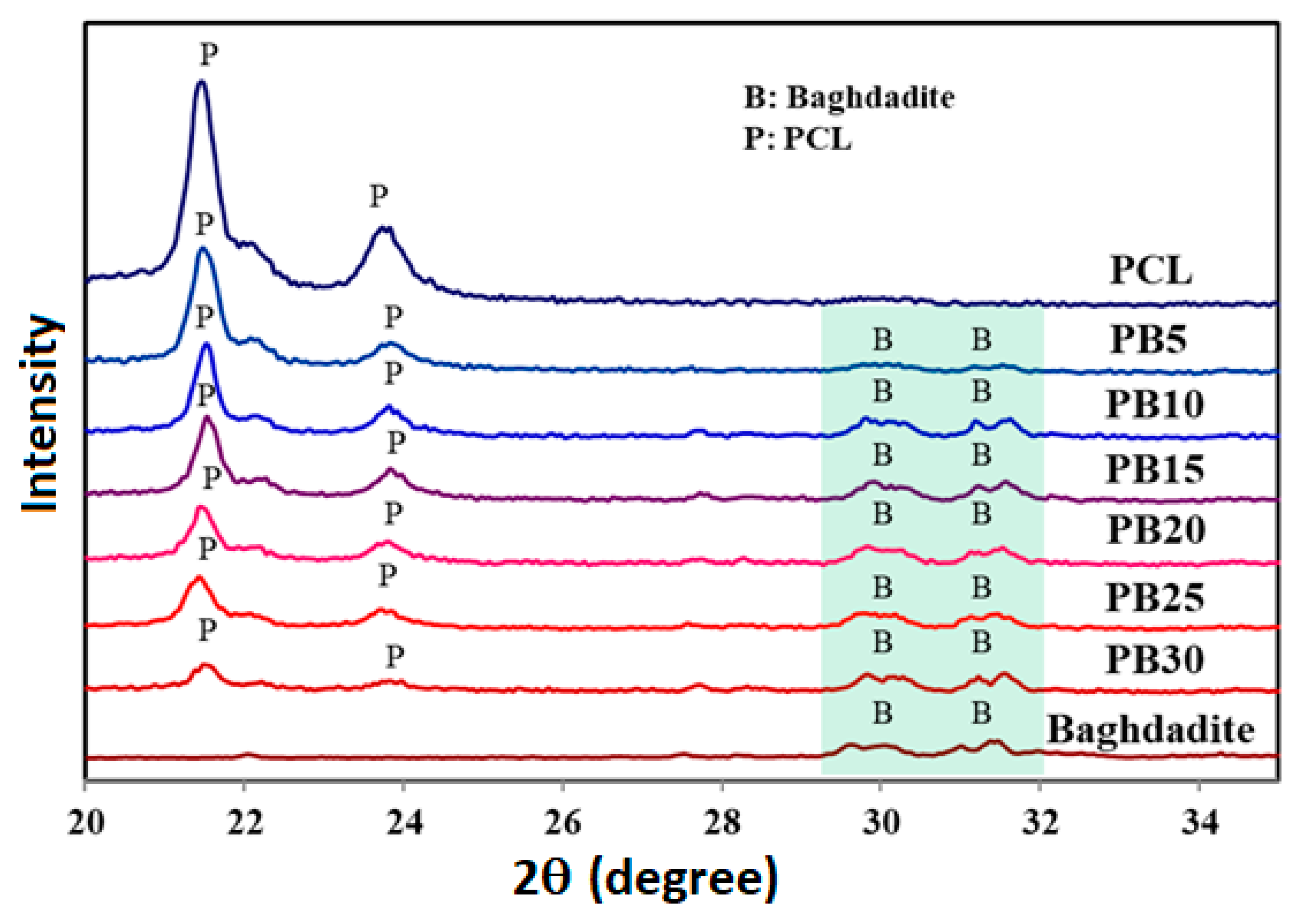 Polymers 15 03617 g002
