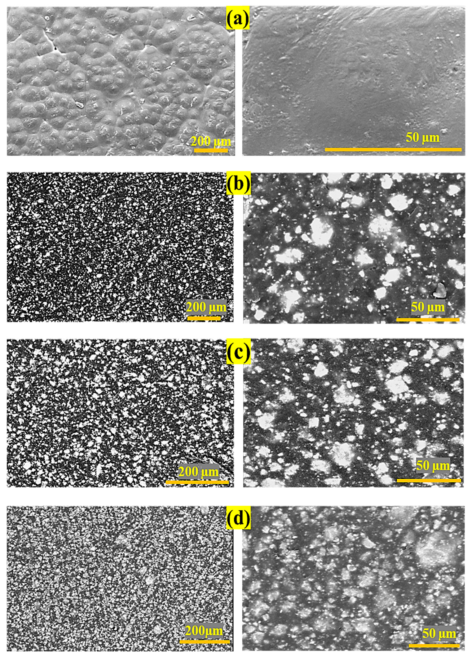Polymers 15 03617 g003