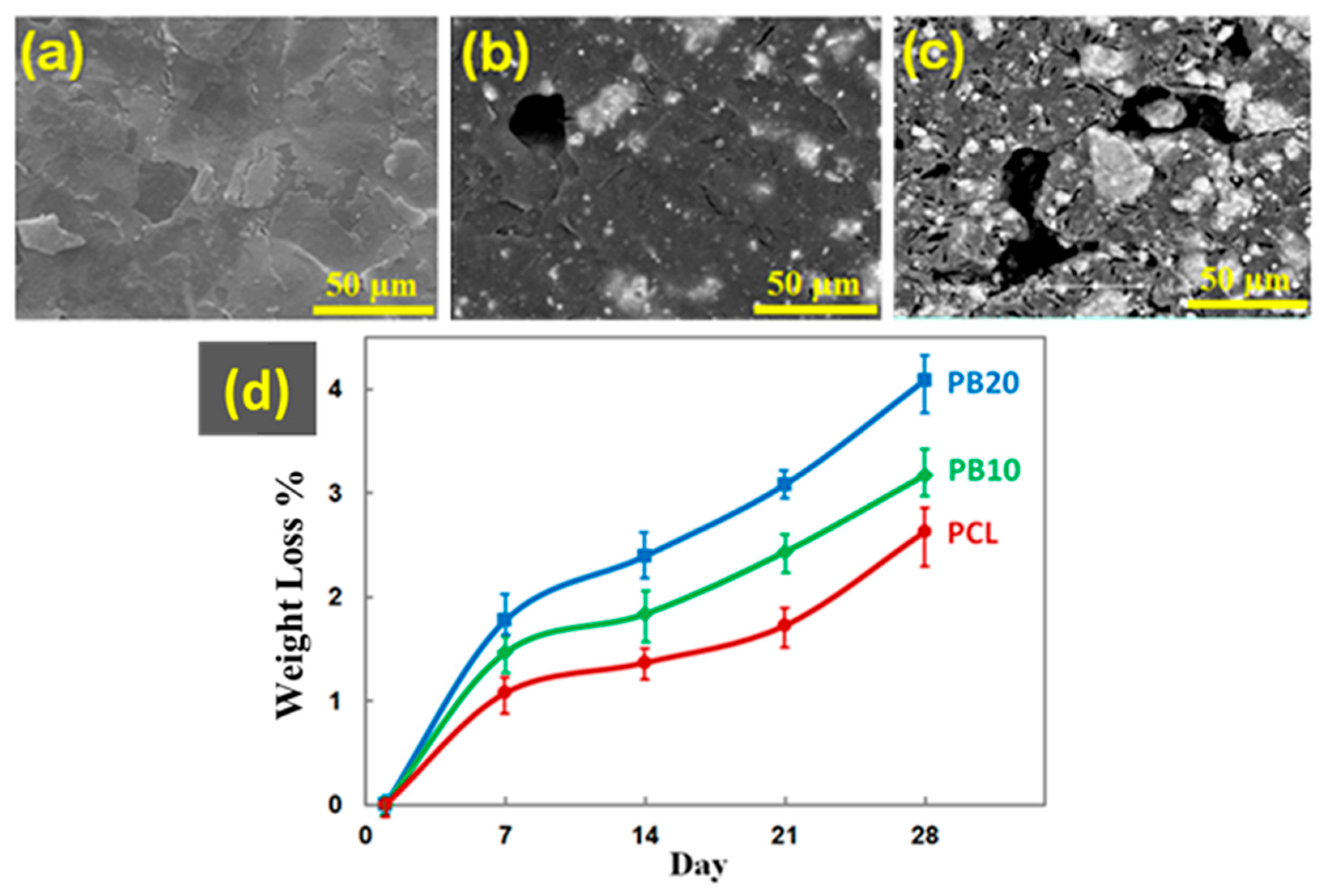 Polymers 15 03617 g010