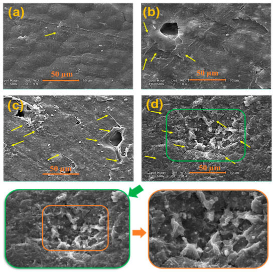 Bioactive and Biodegradable Polycaprolactone-Based Nanocomposite for ...