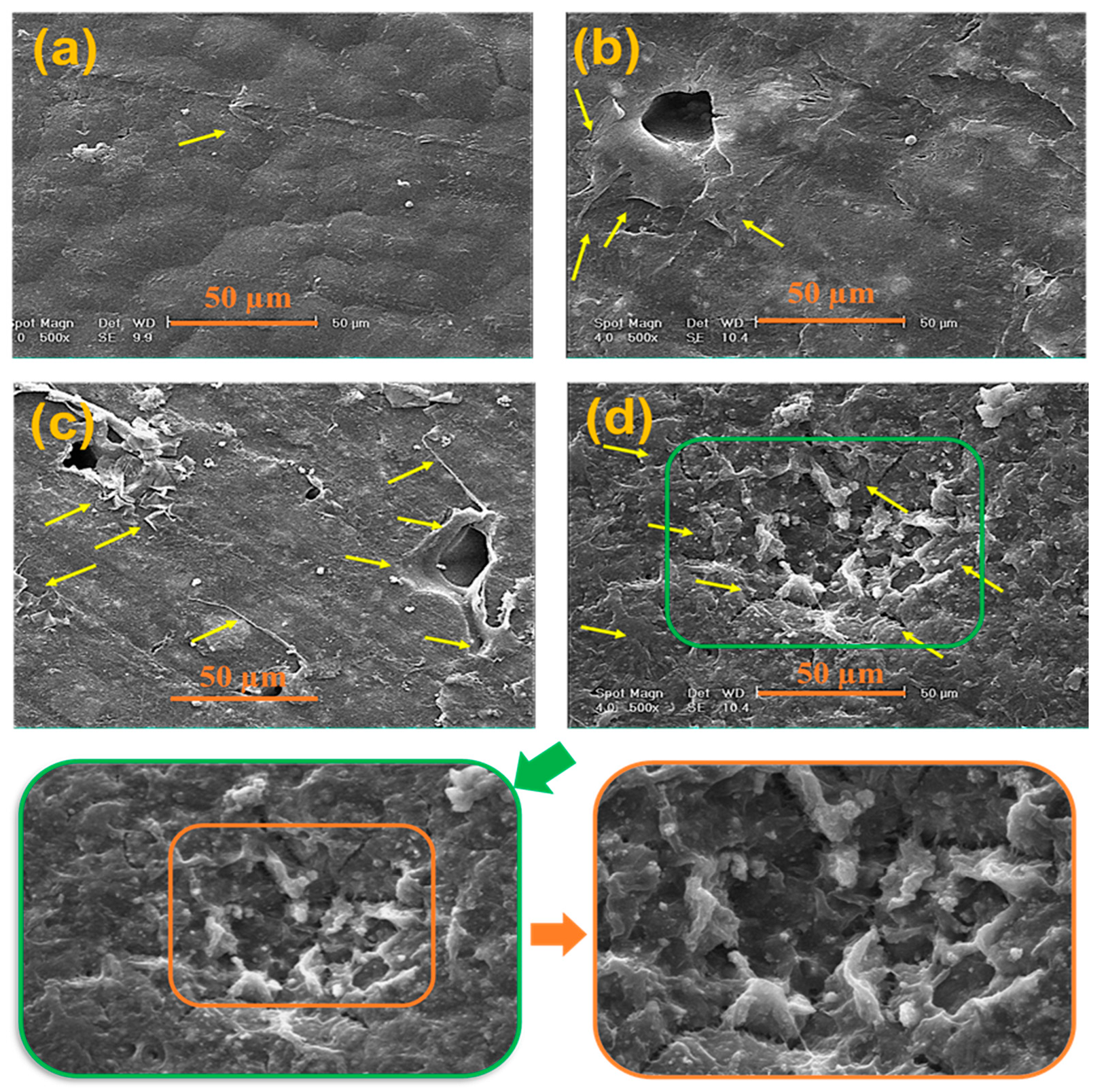 Polymers 15 03617 g012