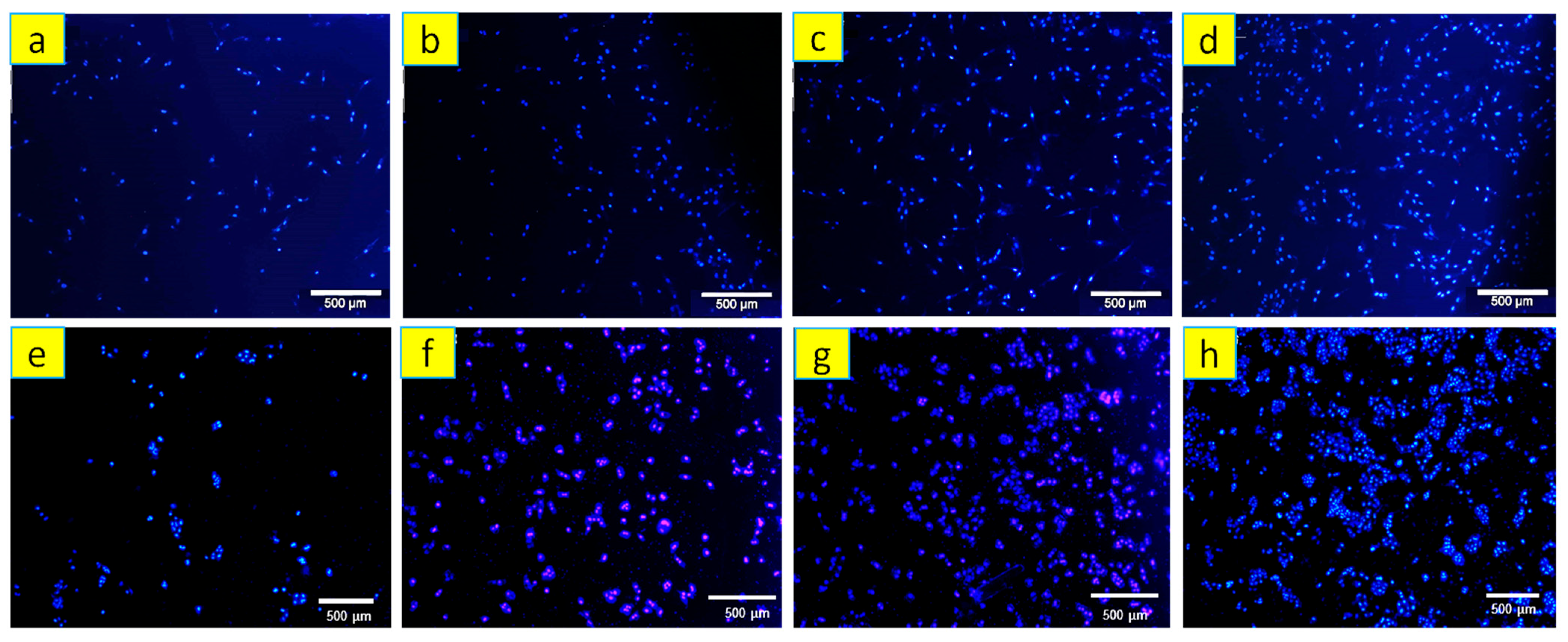 Polymers 15 03617 g013