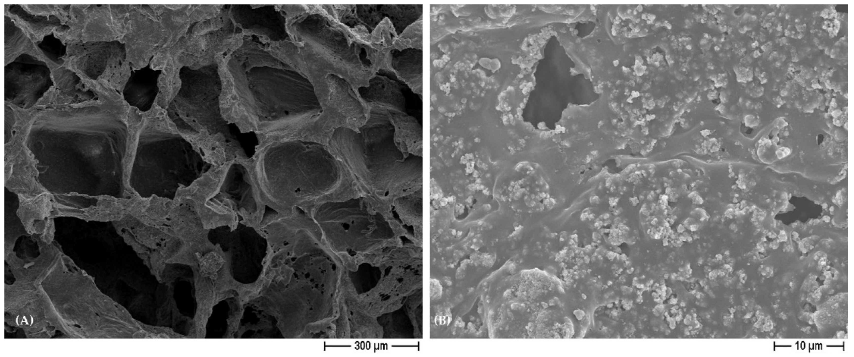 Polymers 15 03618 g003 Polymers 15 03618 g003