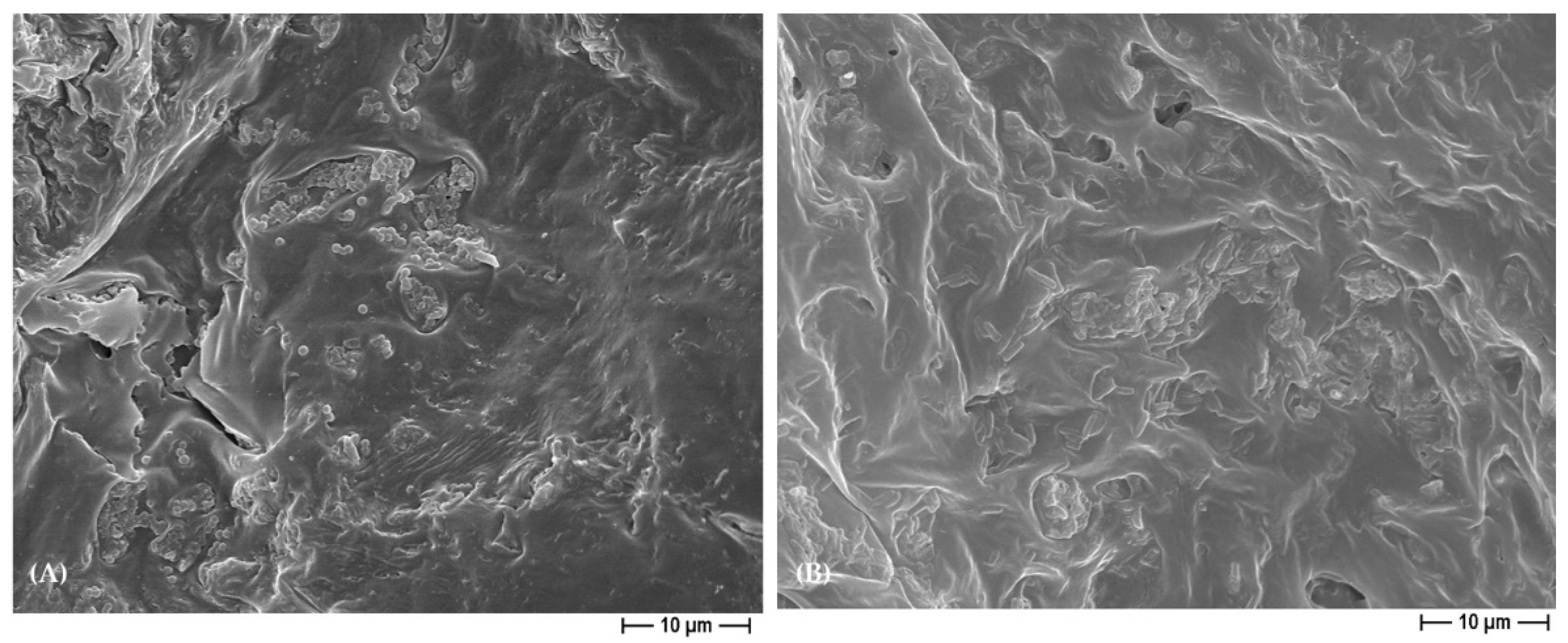 Polymers 15 03618 g010 Polymers 15 03618 g010