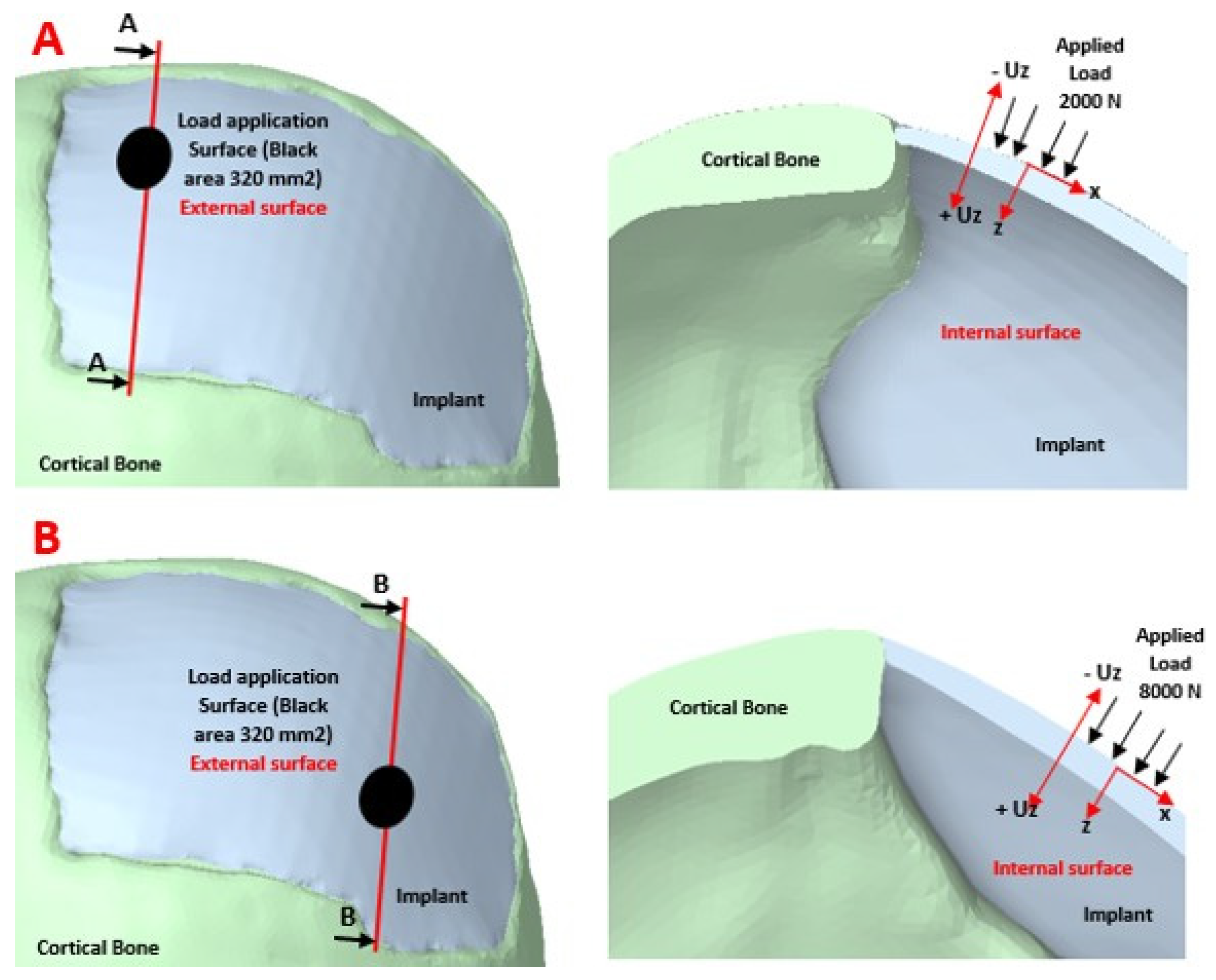 Polymers 15 03620 g006