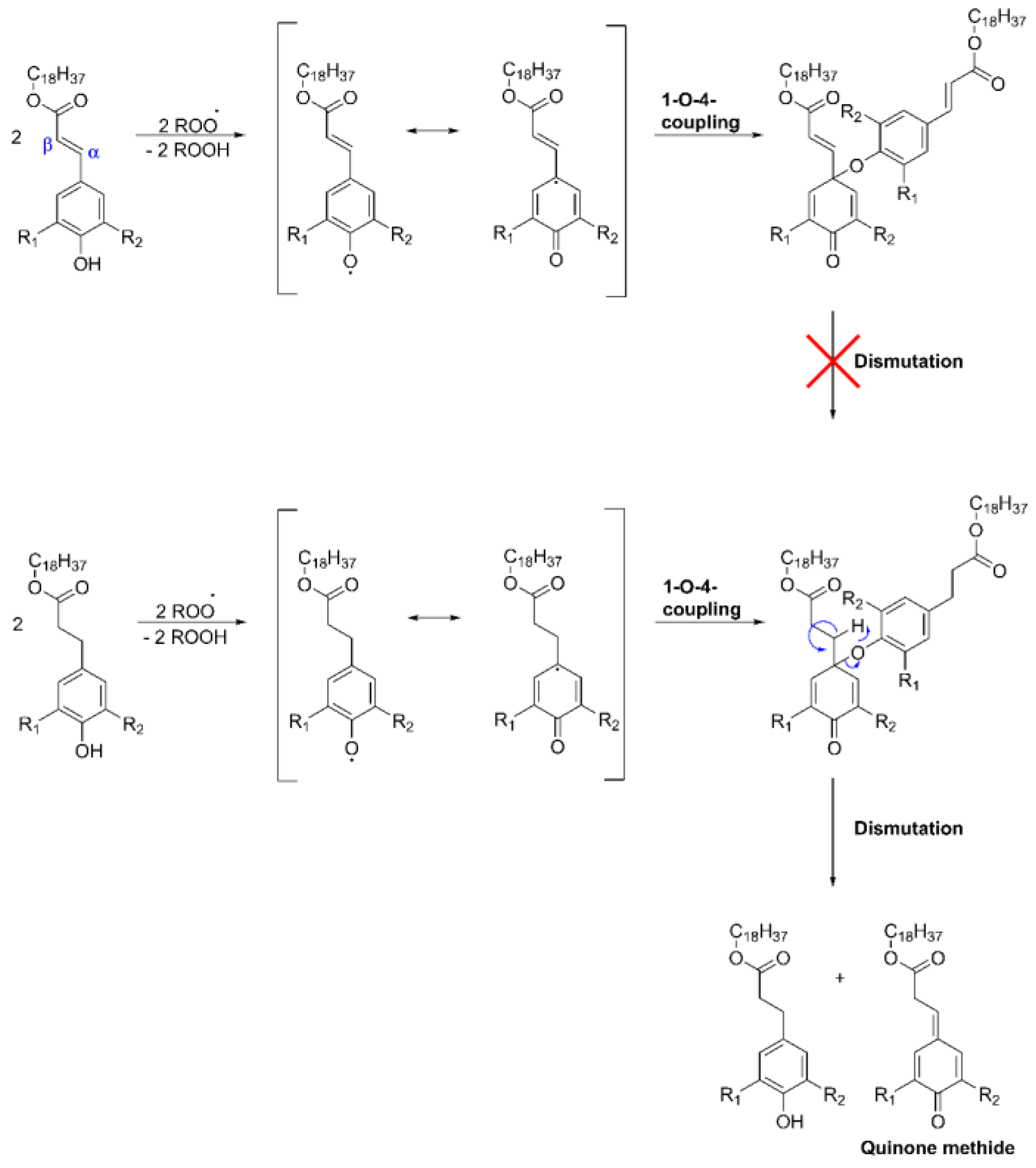Polymers 15 03621 sch002
