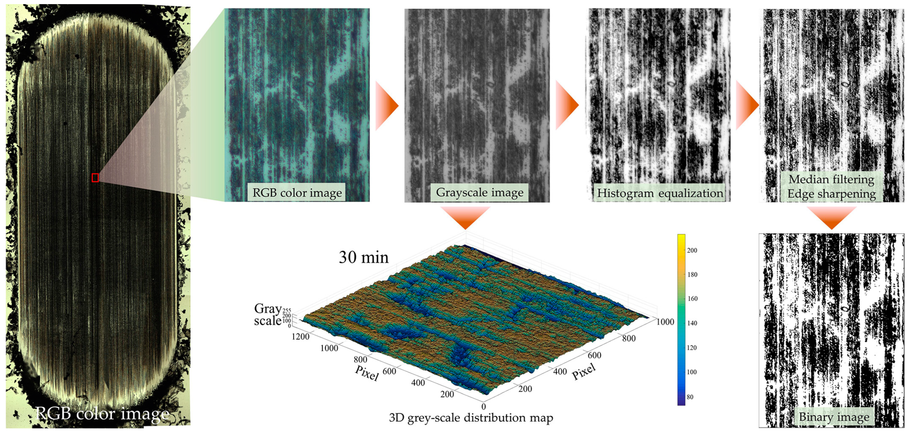 Polymers 15 03626 g003