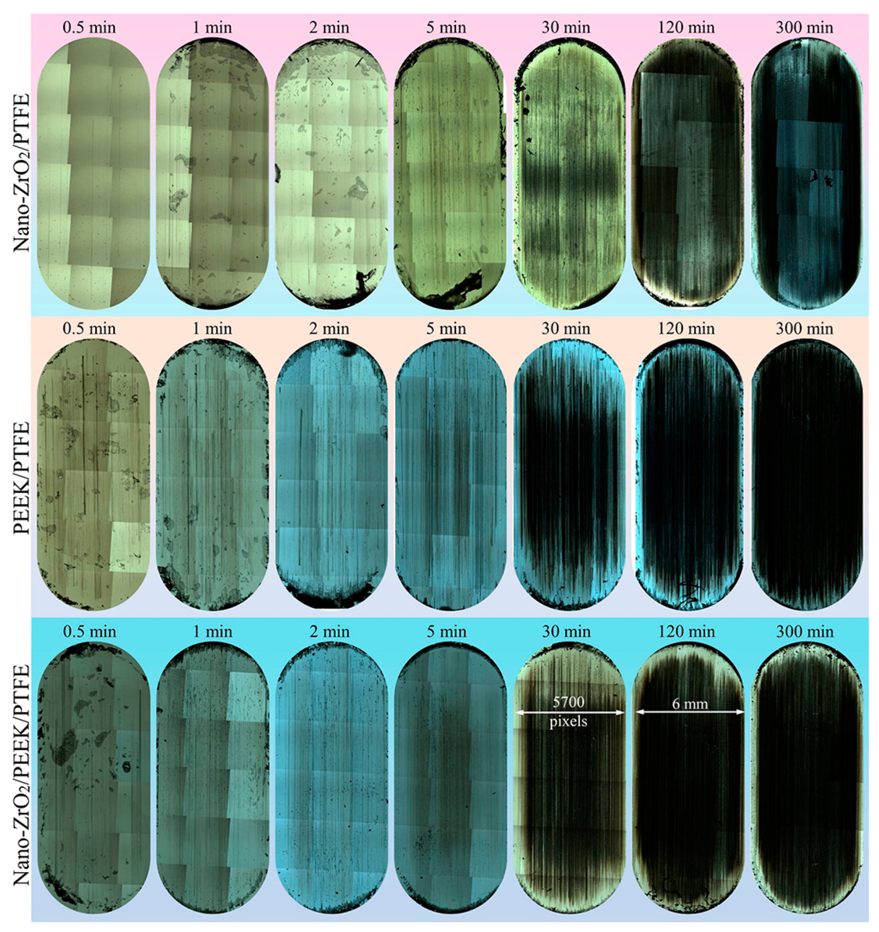 Polymers 15 03626 g007