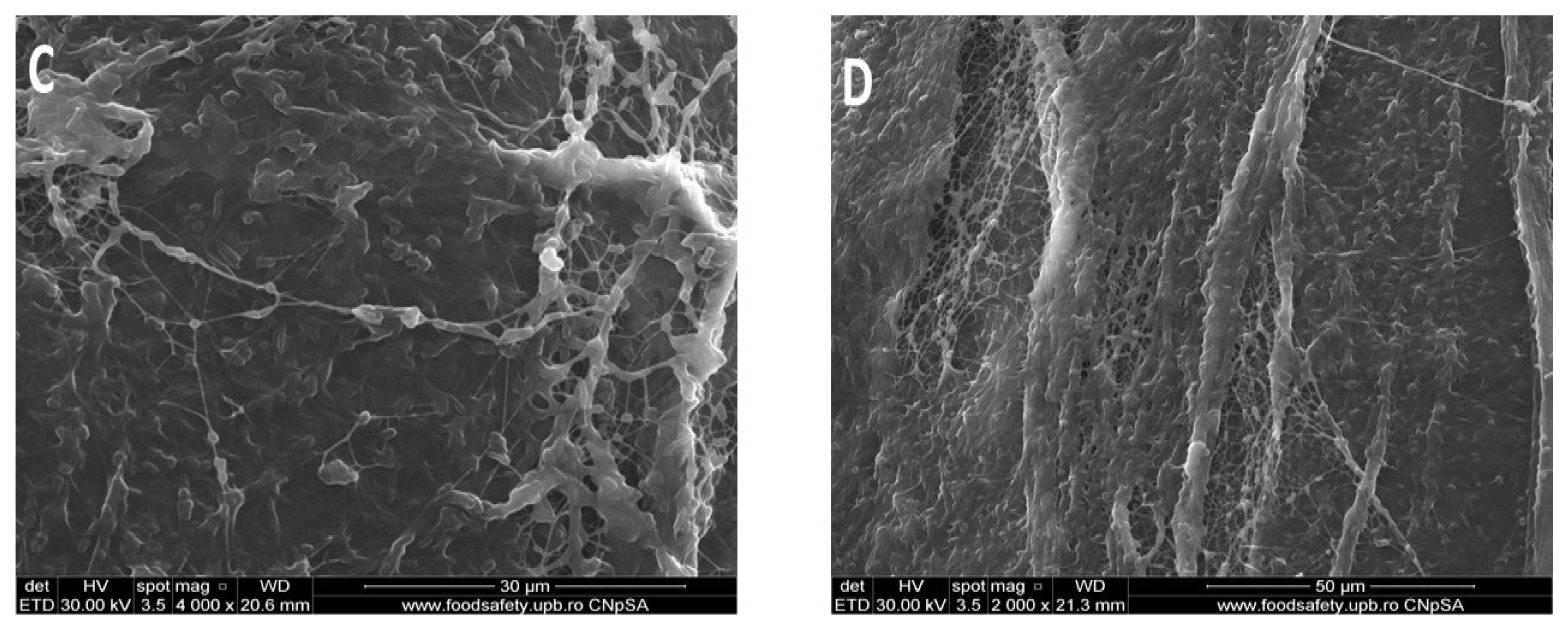 Polymers 15 03629 g002b