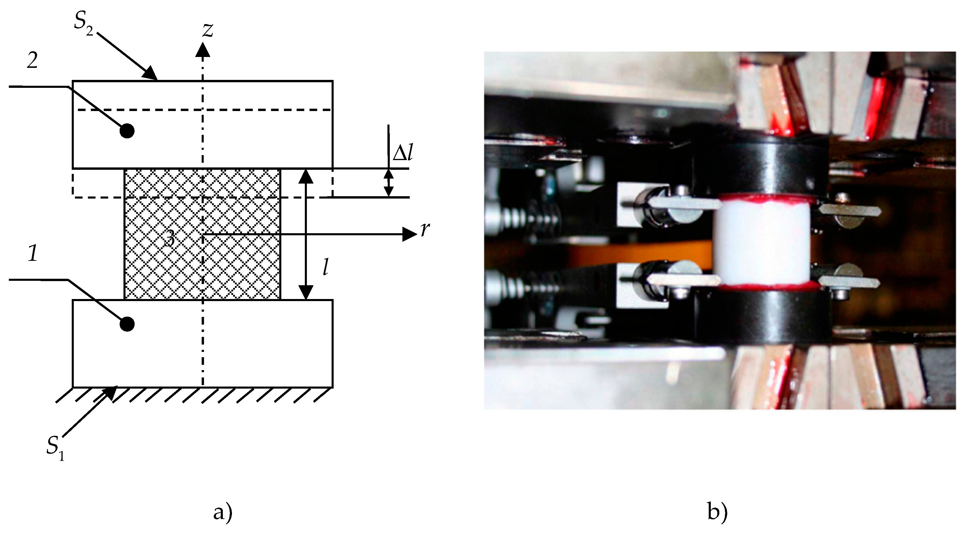 Polymers 15 03630 g001