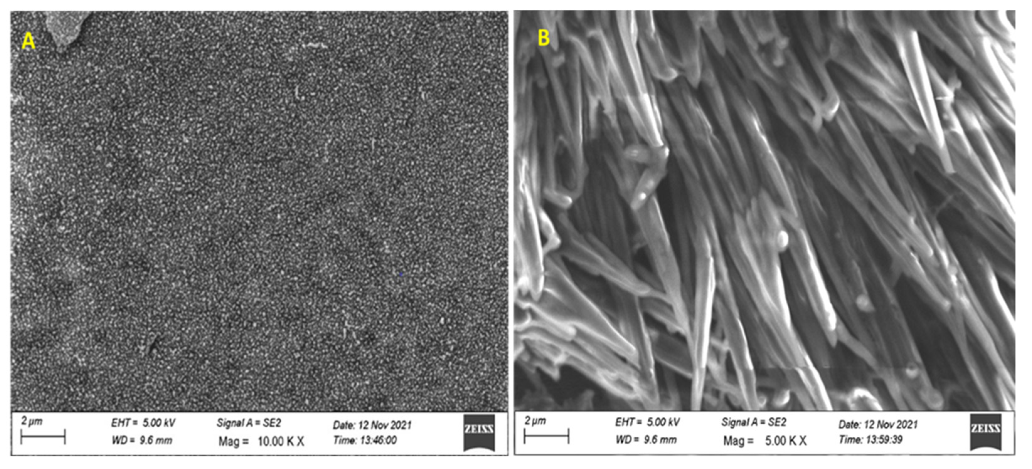 Polymers 15 03631 g004