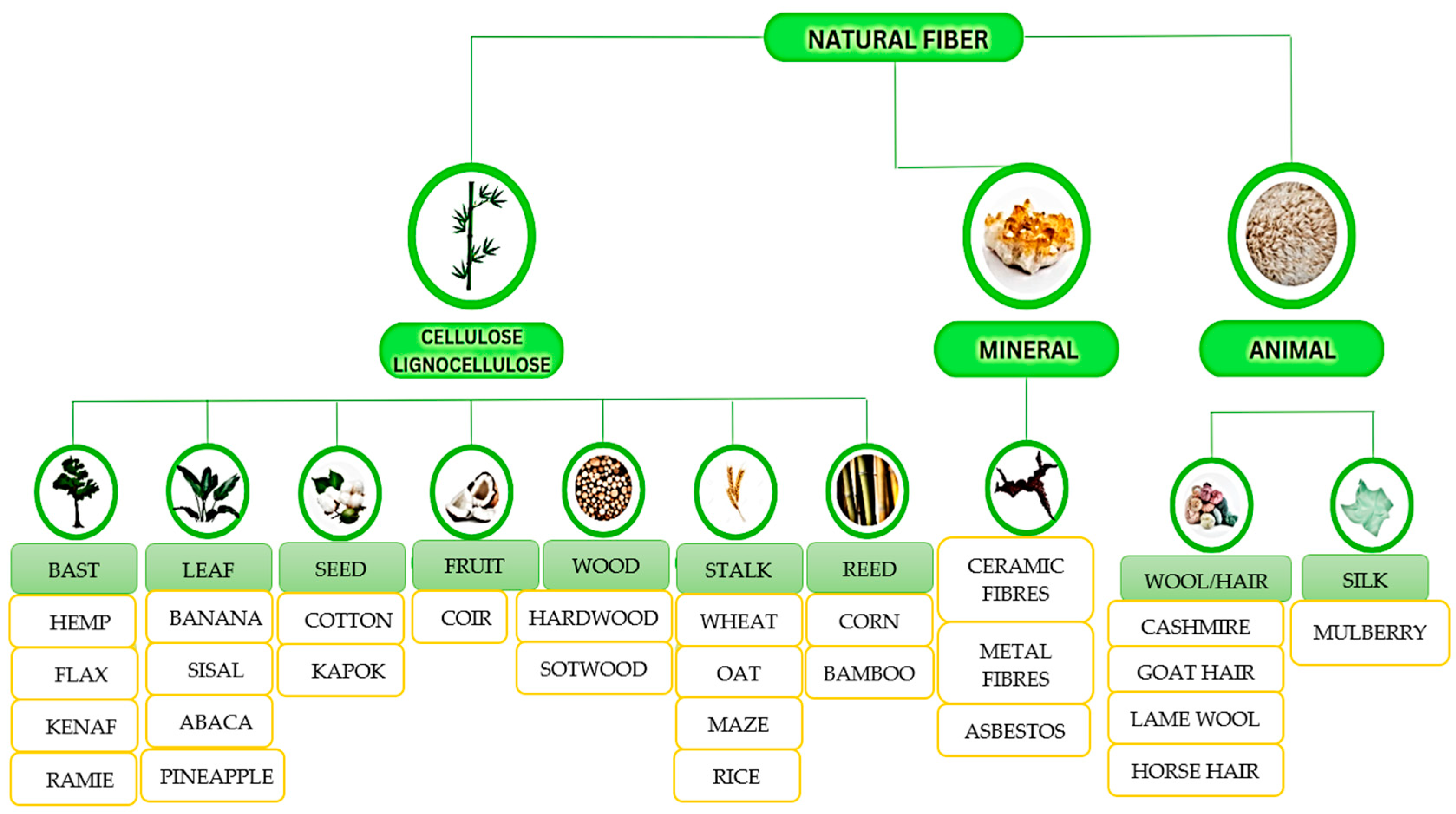 Polymers 15 03634 g005
