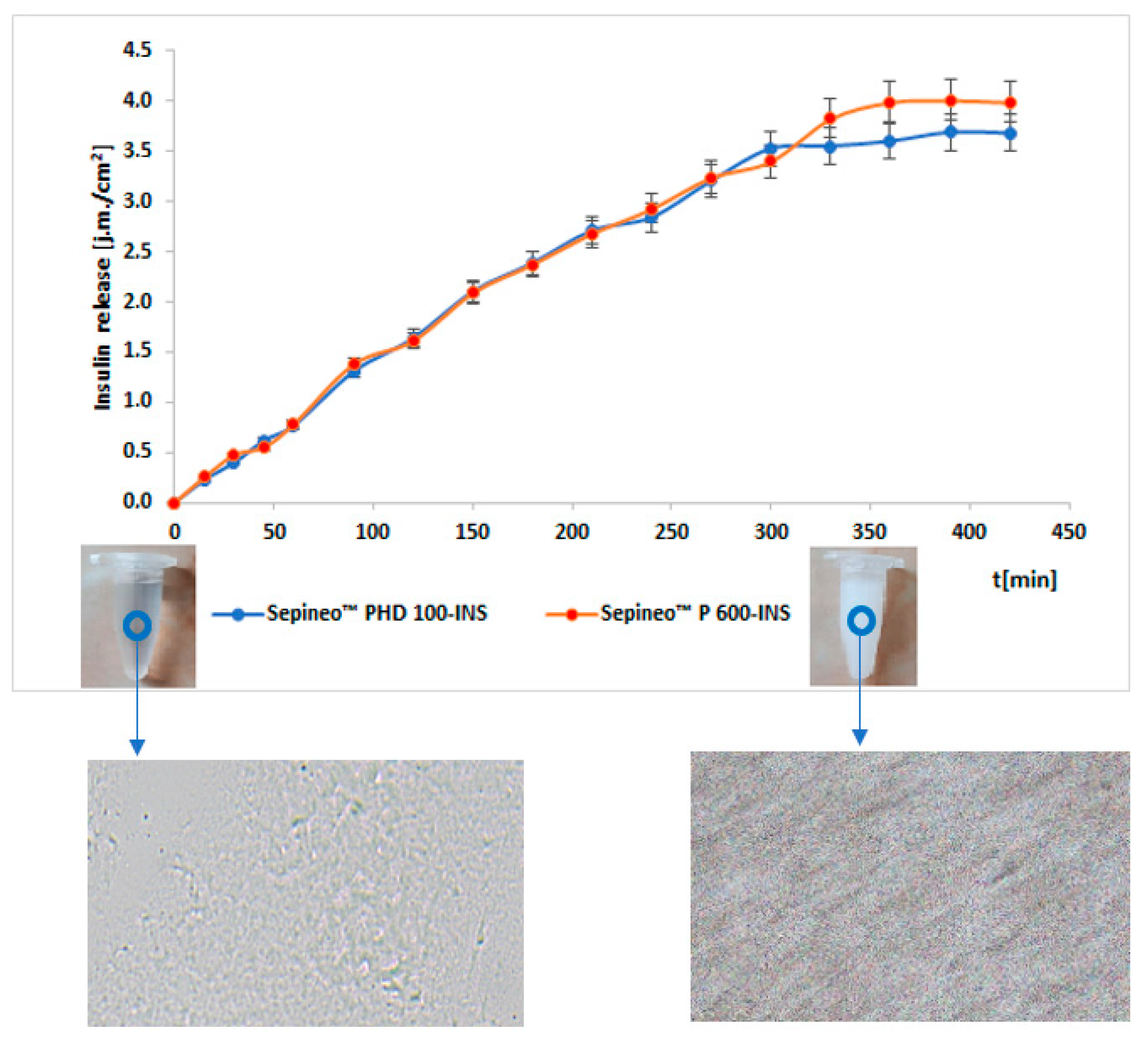 Polymers 15 03639 g001 Polymers 15 03639 g001